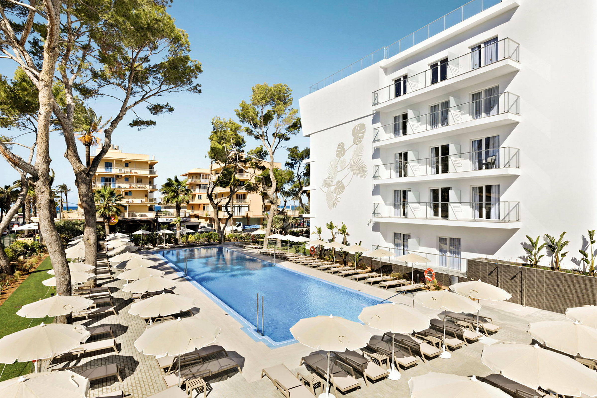 Billede af et hotelområde med en stor pool omgivet af solsenge og parasoller. En hvid bygning med flere altaner samt træer i baggrunden. (AI-genereret tekst)