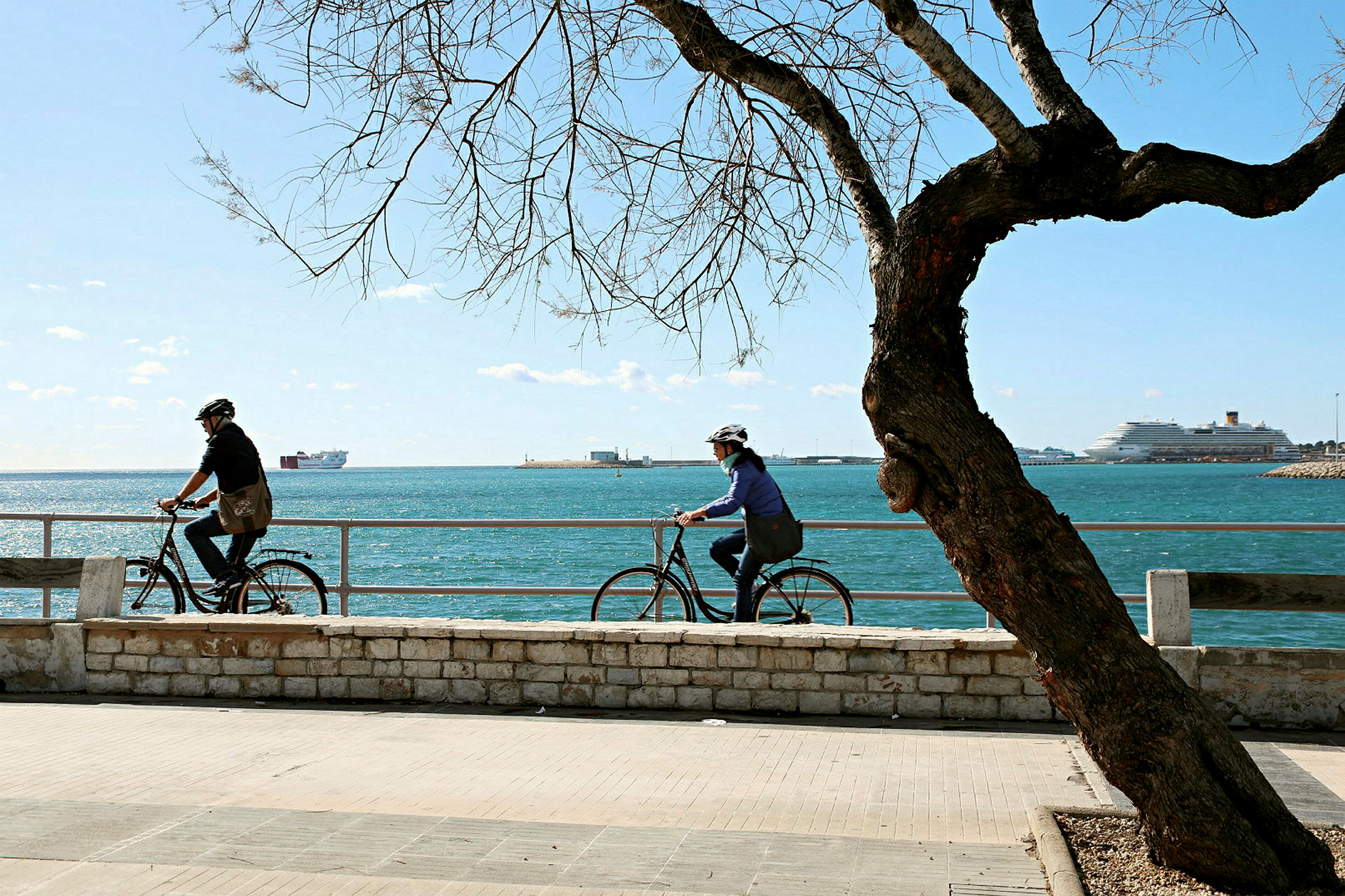 To personer cykler langs strandpromenaden ved havet, med et træ i forgrunden og skibe i baggrunden. (AI-genereret tekst)