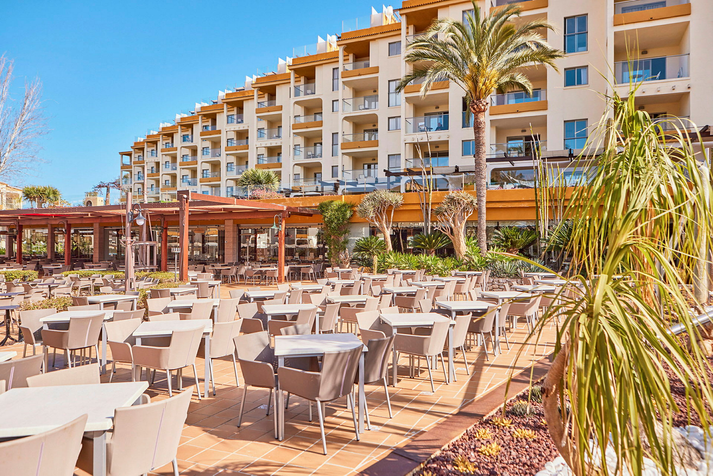 Billedet viser en udendørs servering ved et hotel med terrasse og palmer. (AI-genereret tekst)
