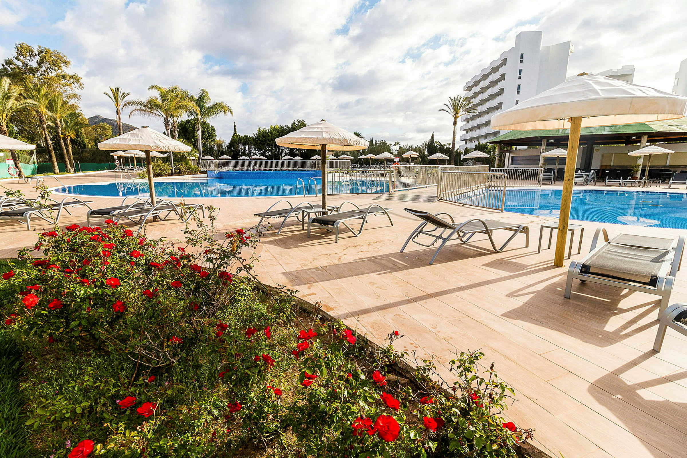 Udendørs pool med liggestole, parasoller og røde blomster i forgrunden. Et hotel ses i baggrunden. (AI-genereret tekst)