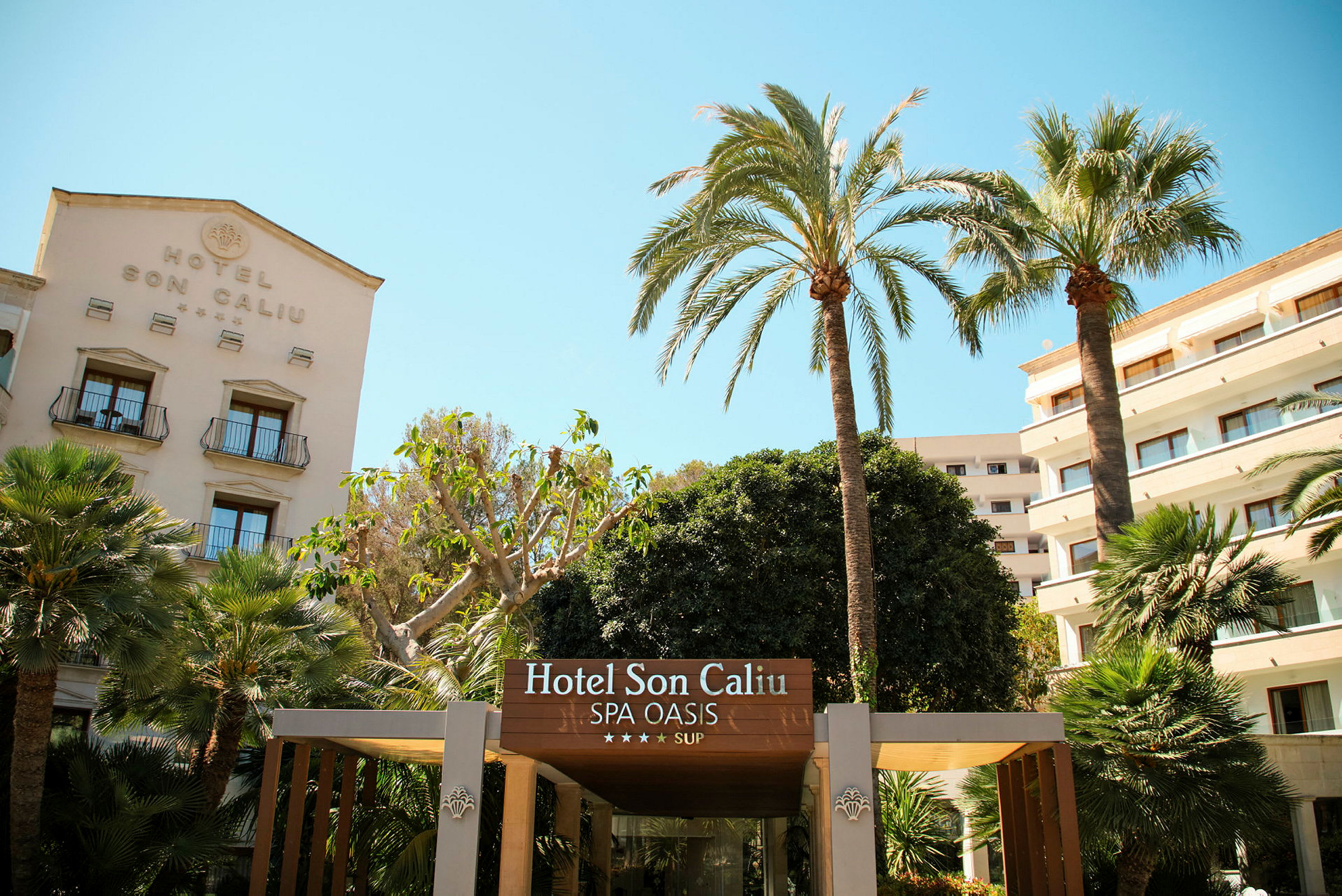 Hotellet Son Caliu Spa Oasis med palmer og bygninger i baggrunden. (AI-genereret tekst)