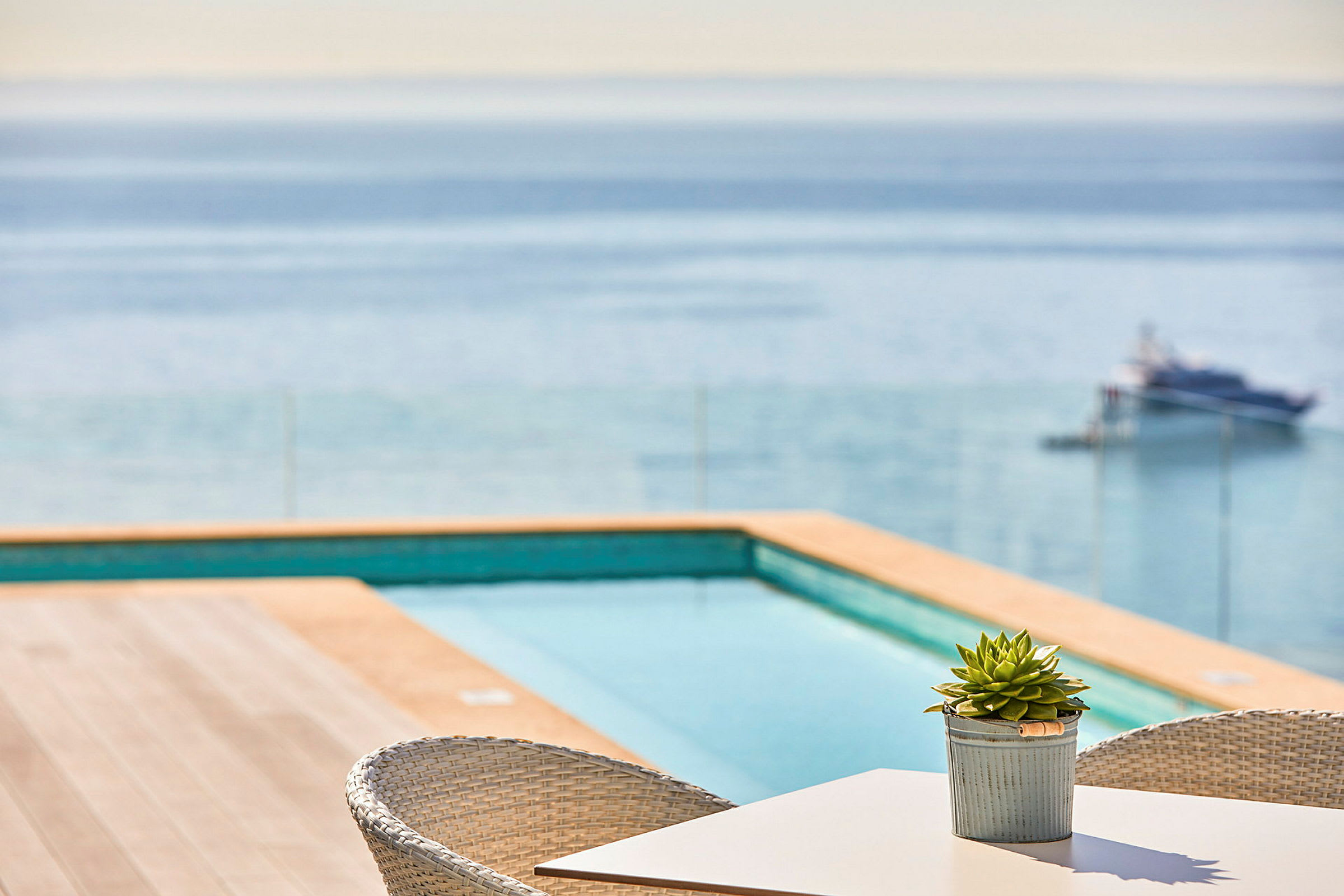 Et bord med en potteplante ved en terrasse med udsigt over en pool og havet. (AI-genereret tekst)
