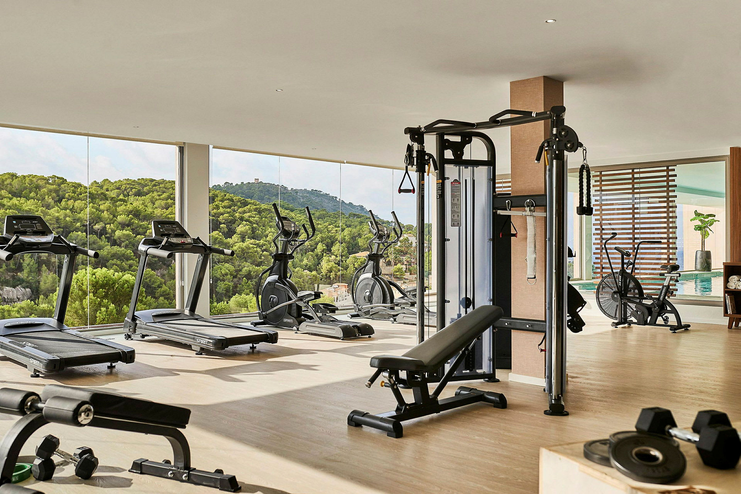 Fitnesscenter med træningsmaskiner, frie vægte og udsigt over frodigt landskab. (AI-genereret tekst)
