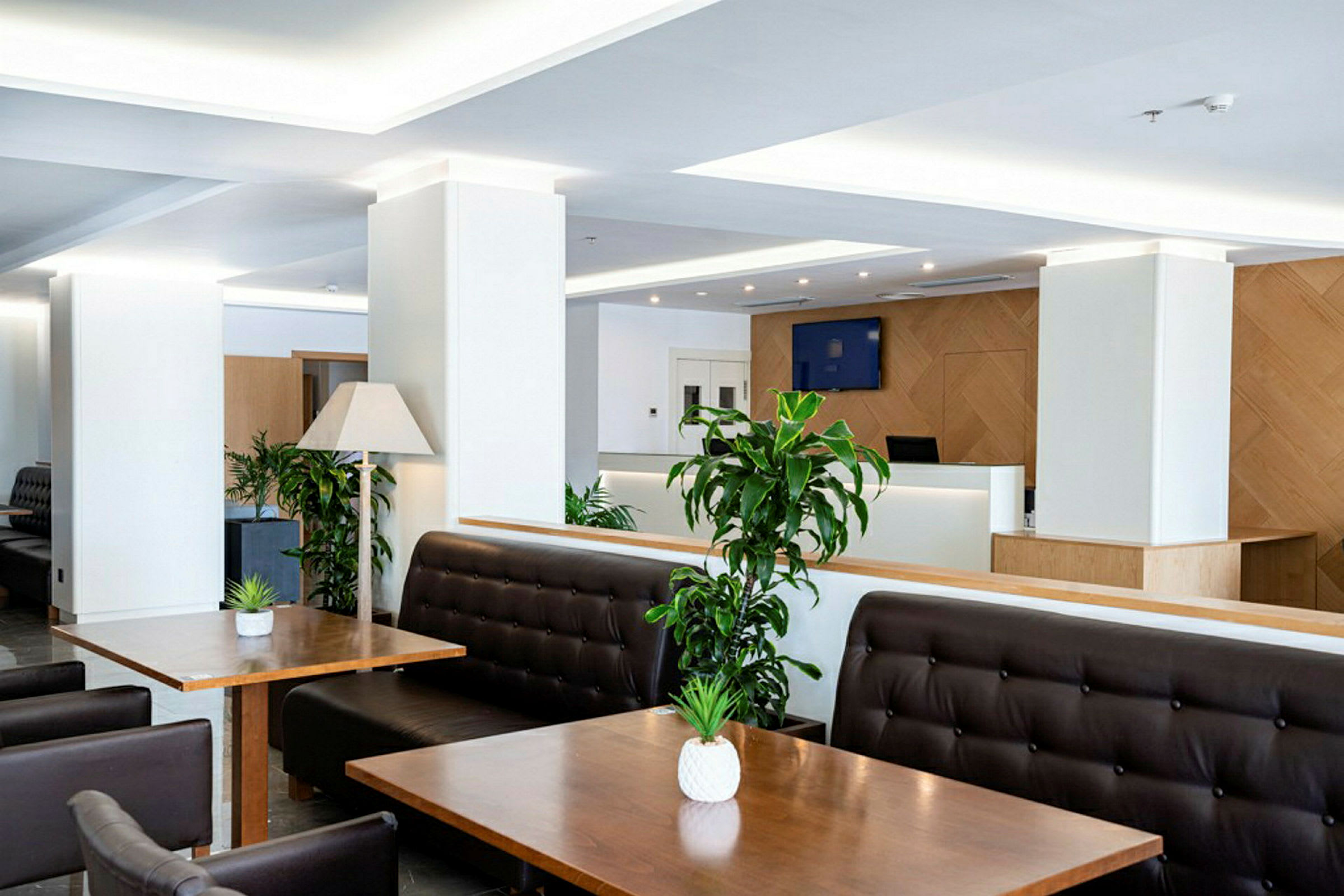 En reception i moderne stil med siddepladser, borde og grønne planter. (AI-genereret tekst)