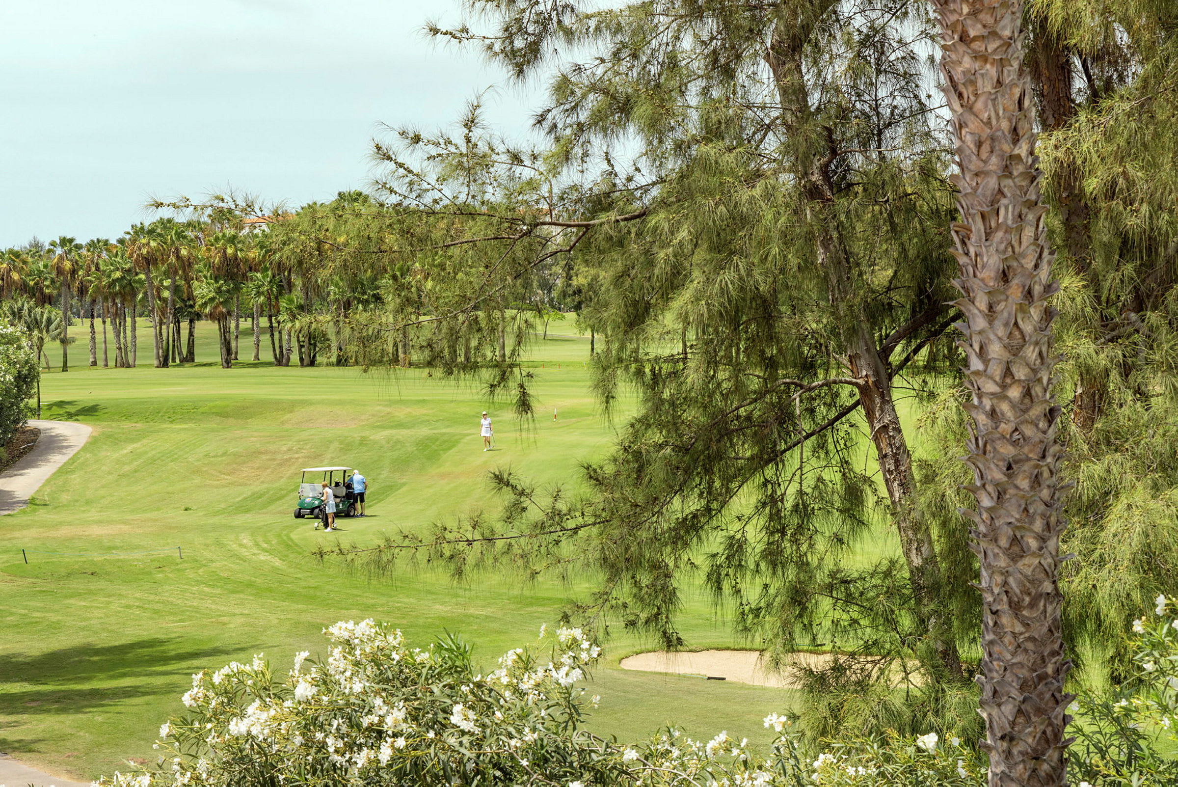 En golfbane med en golfbil og spillere, omgivet af grønne områder og palmer. (AI-genereret tekst)