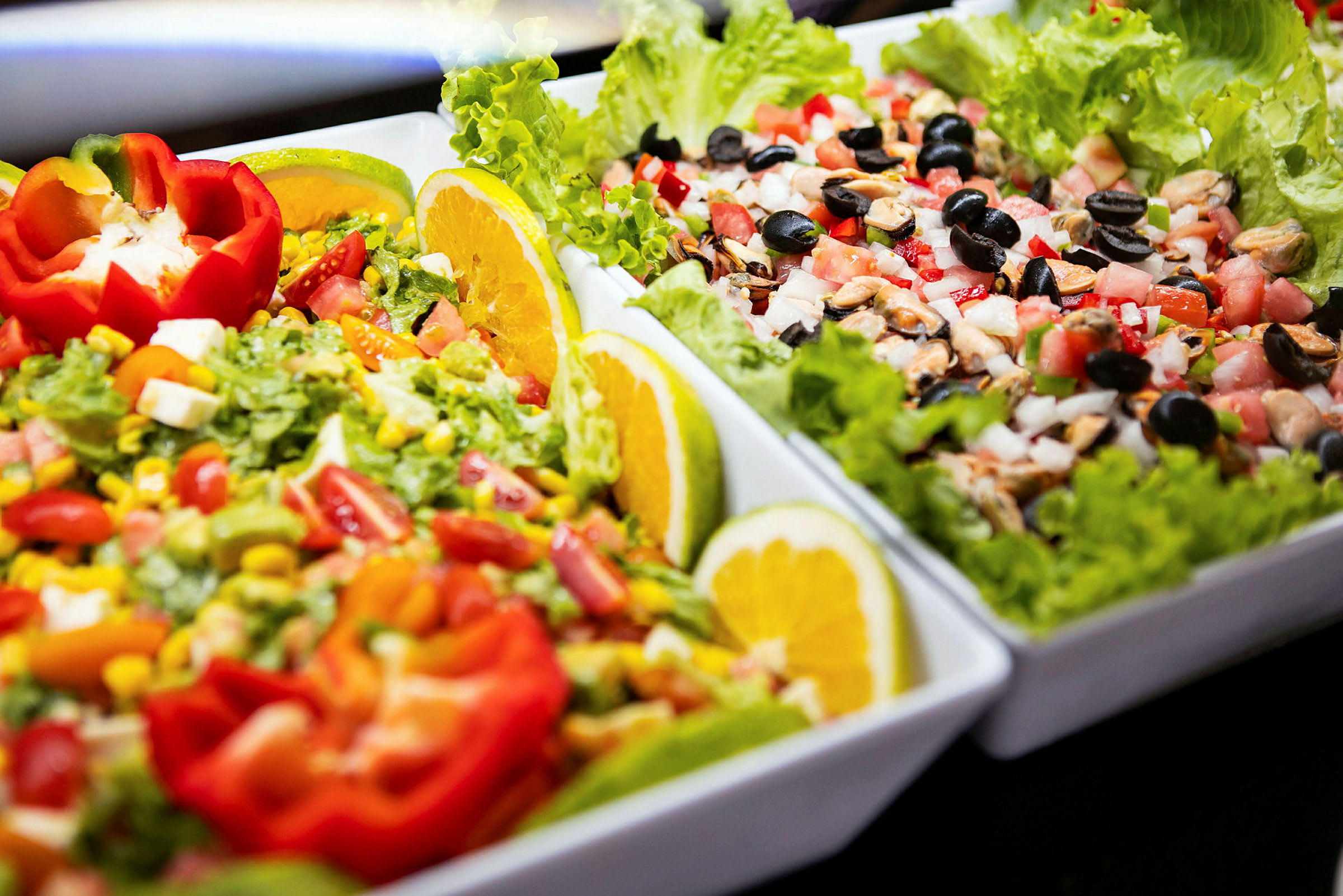 To tallerkener fyldt med farverige salatingredienser, herunder tomater, majs, oliven og salatblade, dekoreret med citronskiver og peberfrugt. (AI-genereret tekst)