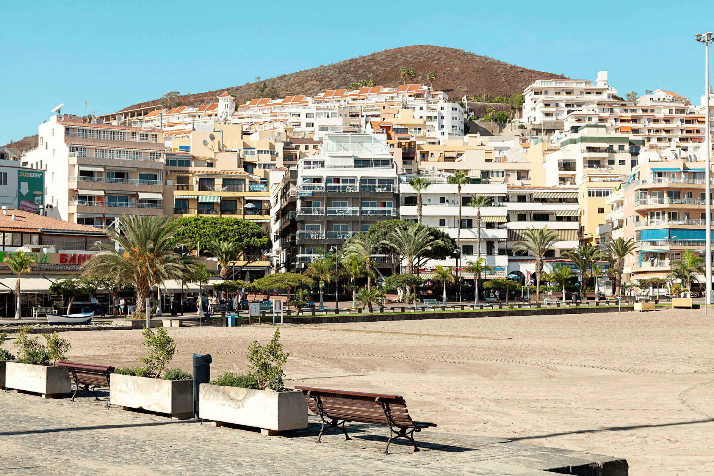 Strandpromenade med palmer og bænke, bagved ses bygninger og en bakke. (AI-genereret tekst)