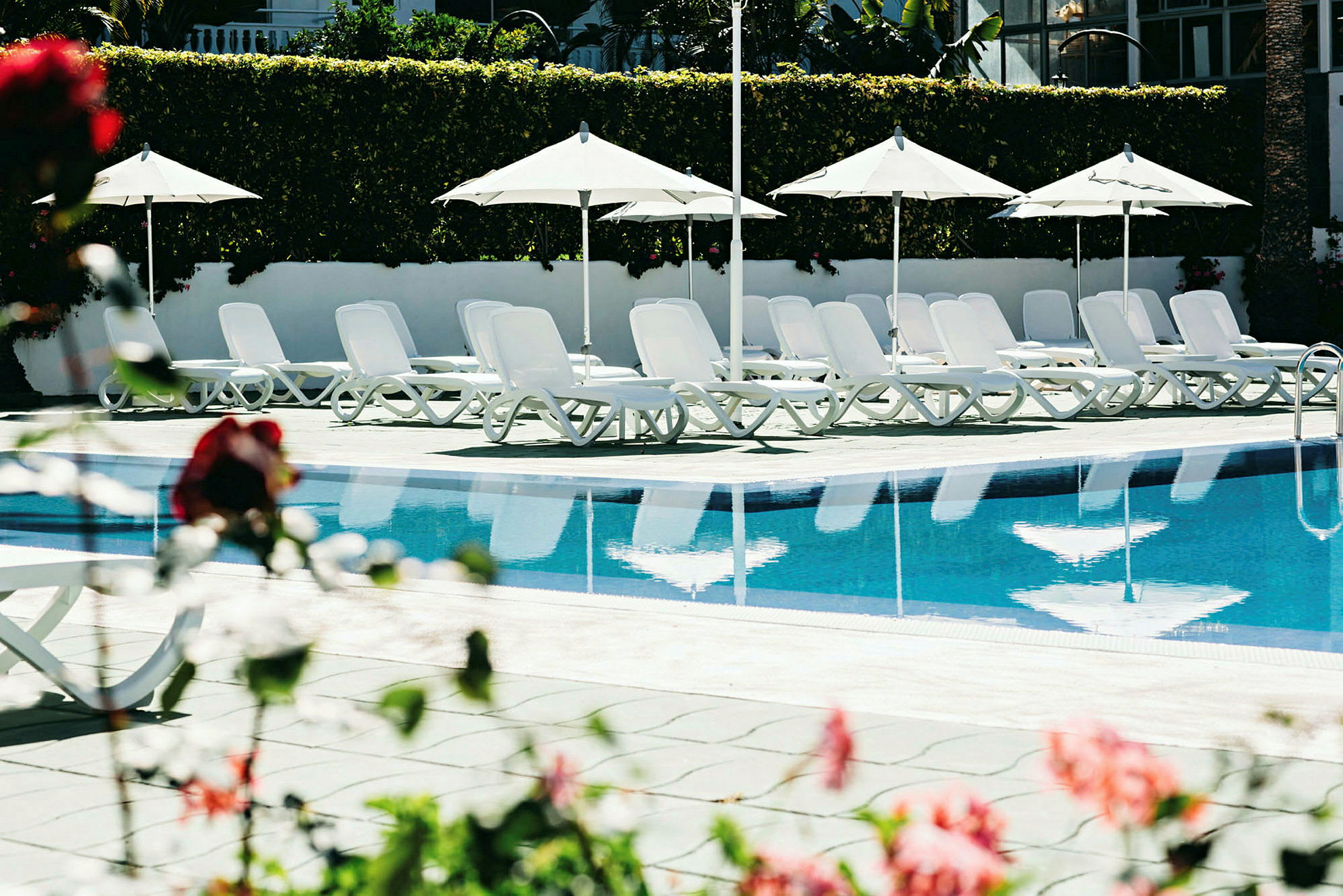 Liggestole og parasoller ved en pool med blomster i forgrunden. (AI-genereret tekst)
