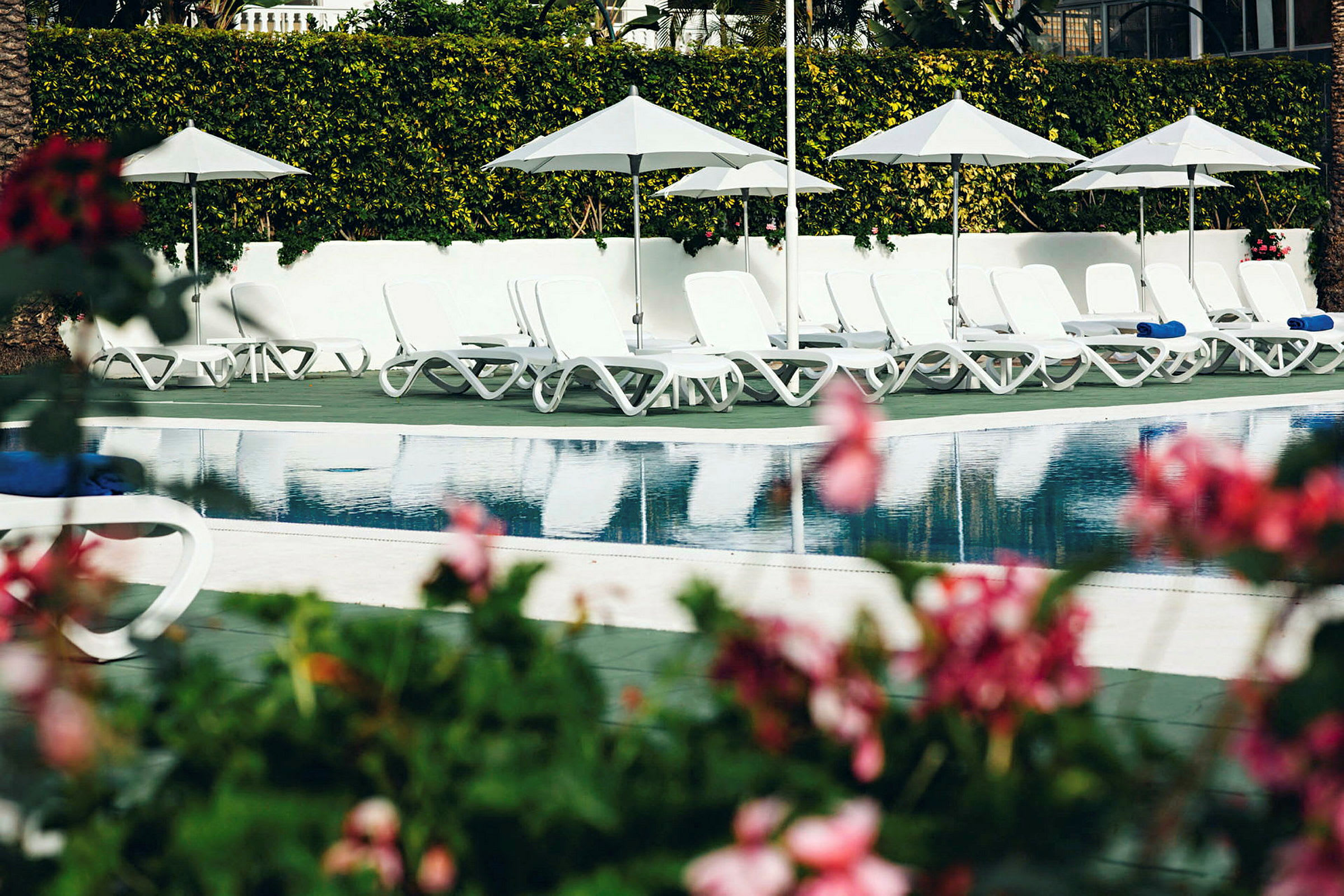 Liggestole og parasoller ved siden af en pool, med blomster i forgrunden. (AI-genereret tekst)