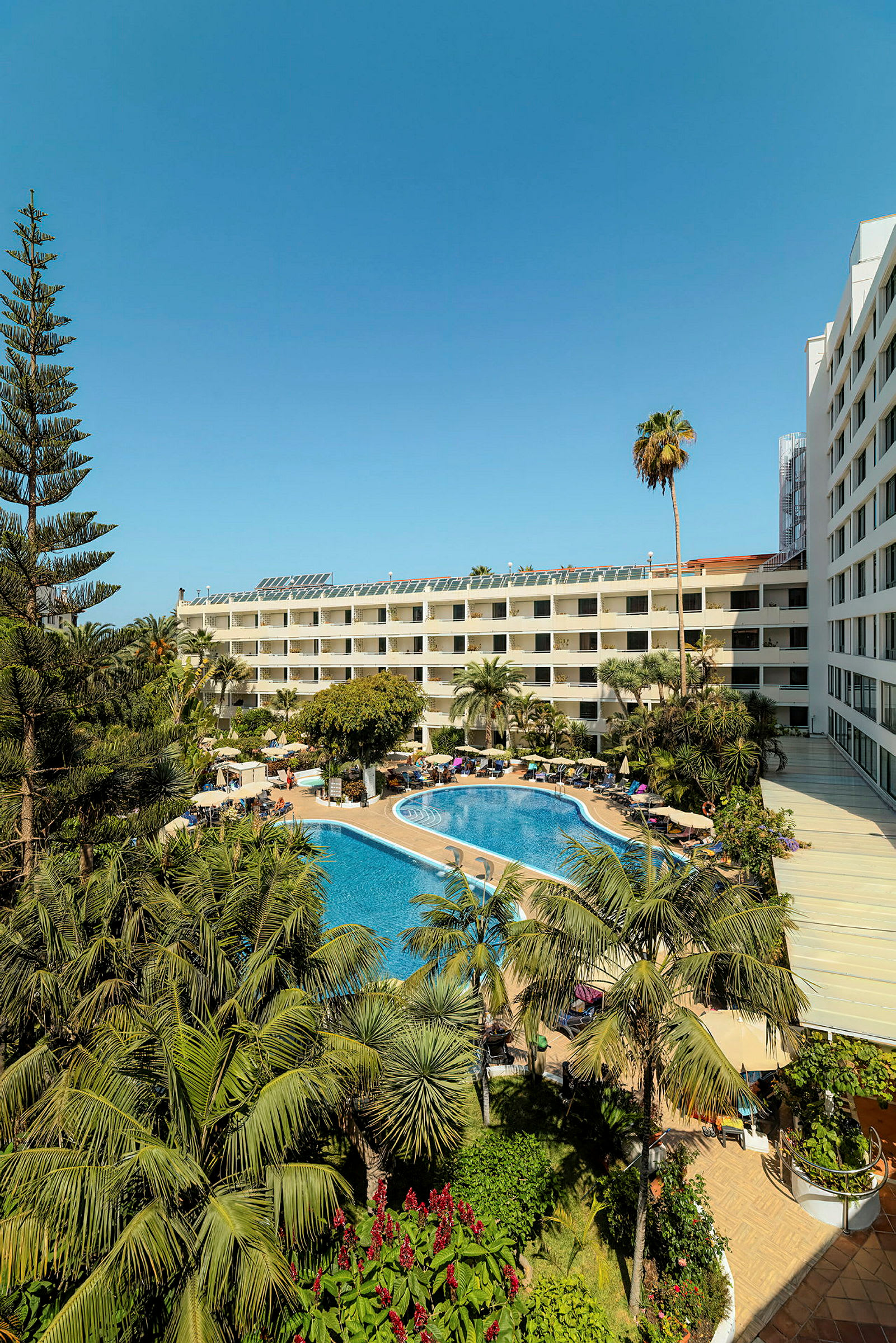 Hotelområde med pool og omkringliggende planter. (AI-genereret tekst)