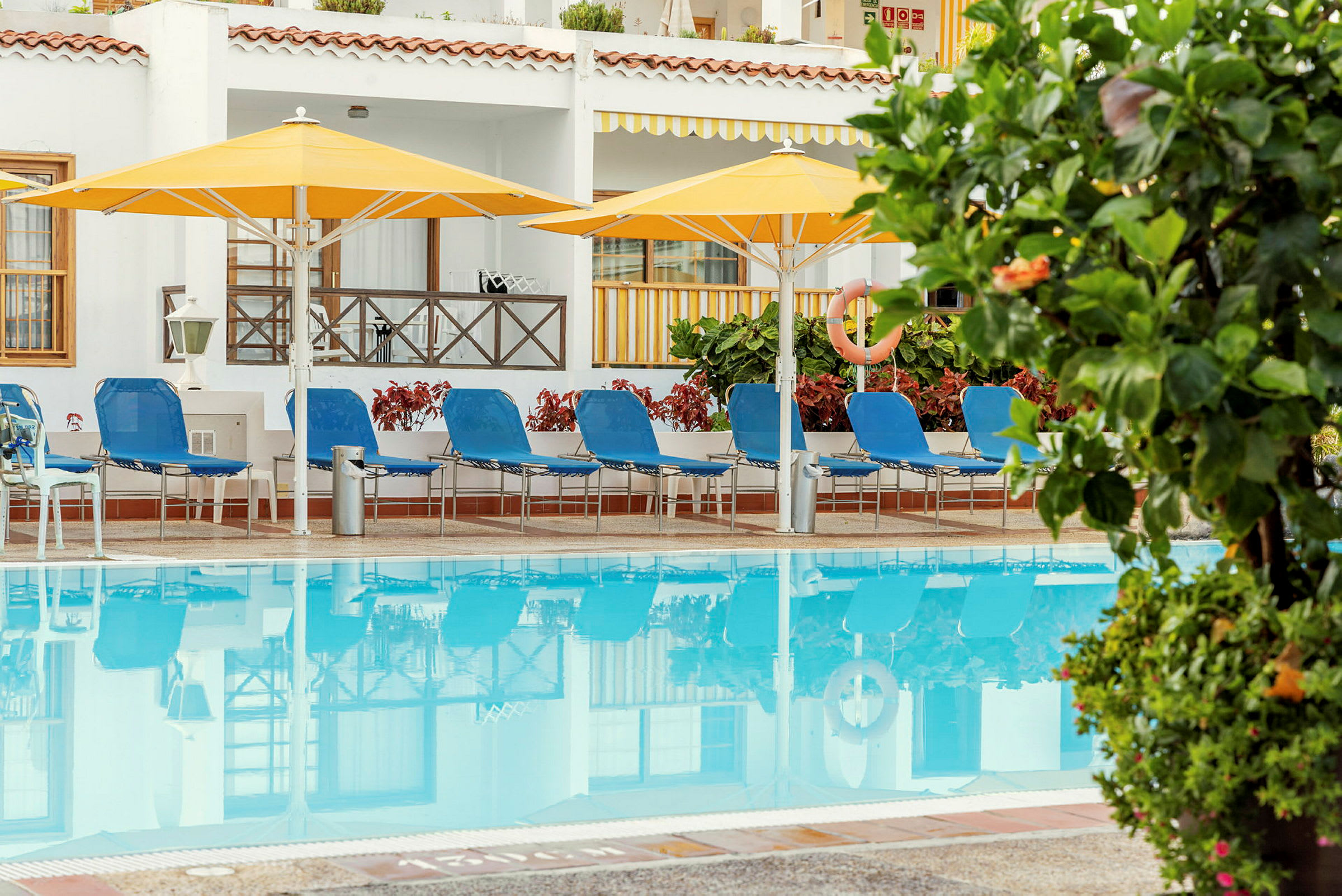 Liggestole ved en pool med gule parasoller og grønne planter i forgrunden. (AI-genereret tekst)