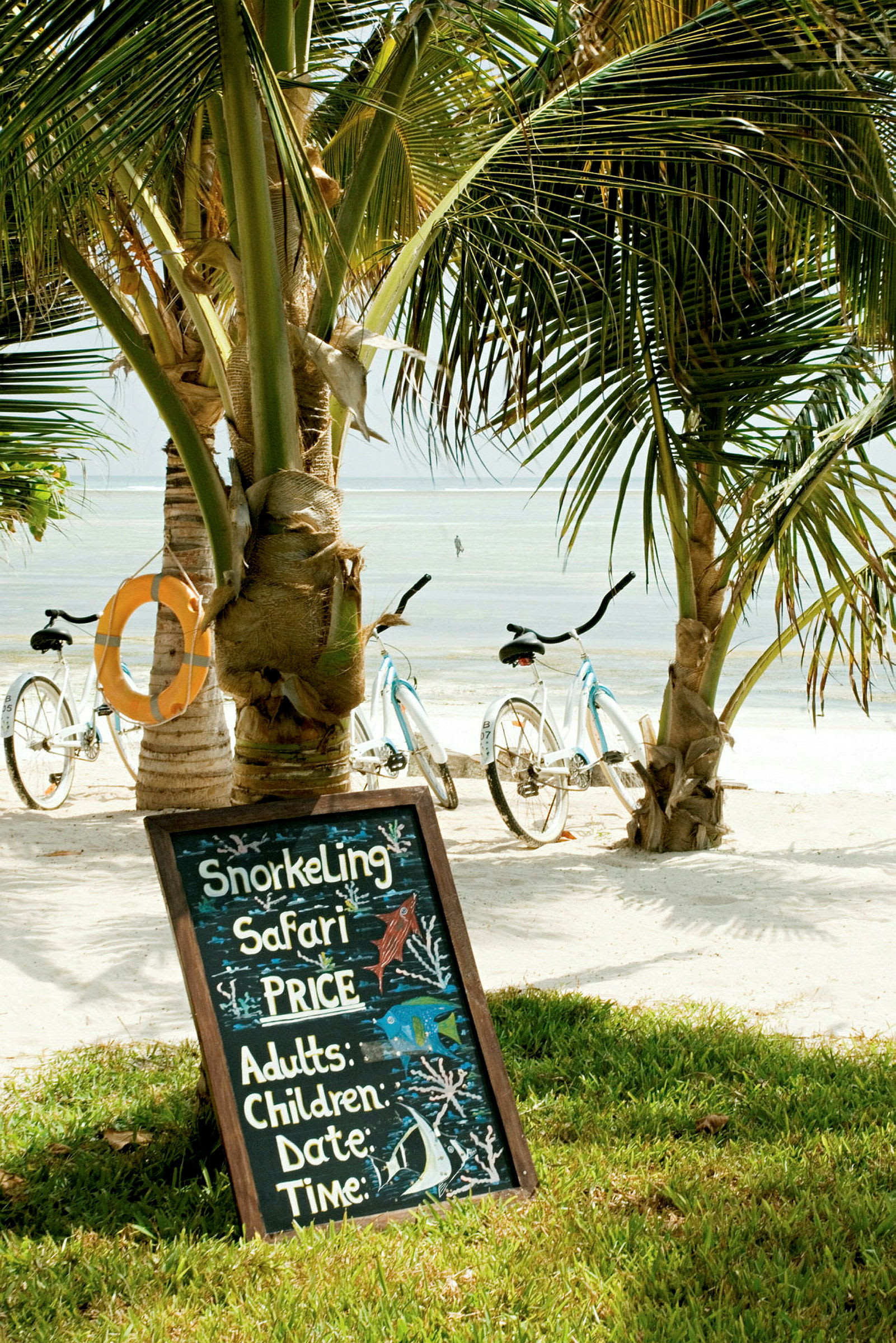 Et skilt med teksten 'Snorkeling Safari' står på en strand nær palmer og cykler. (AI-genereret tekst)