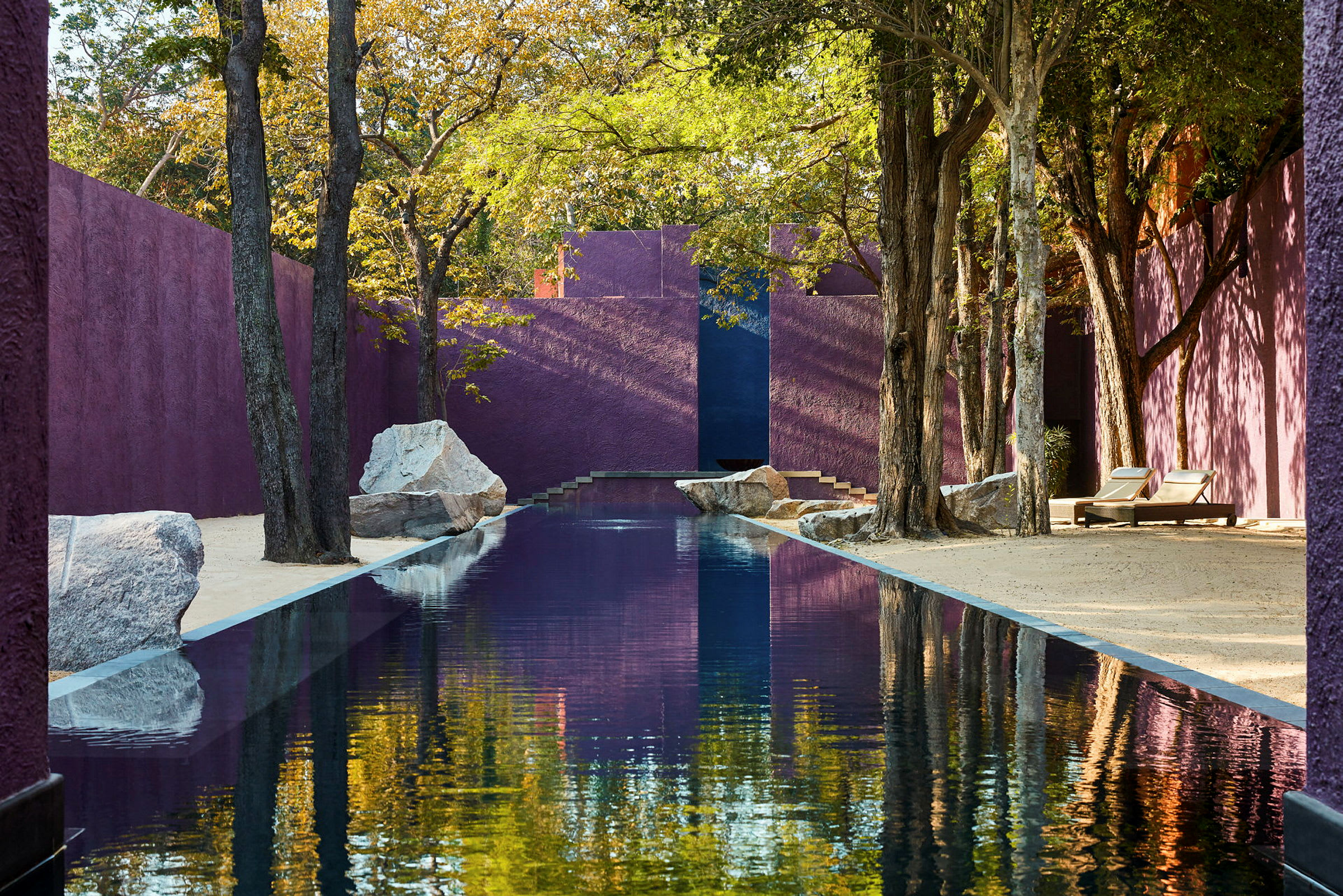 En smal pool omgivet af træer og lilla vægge. (AI-genereret tekst)