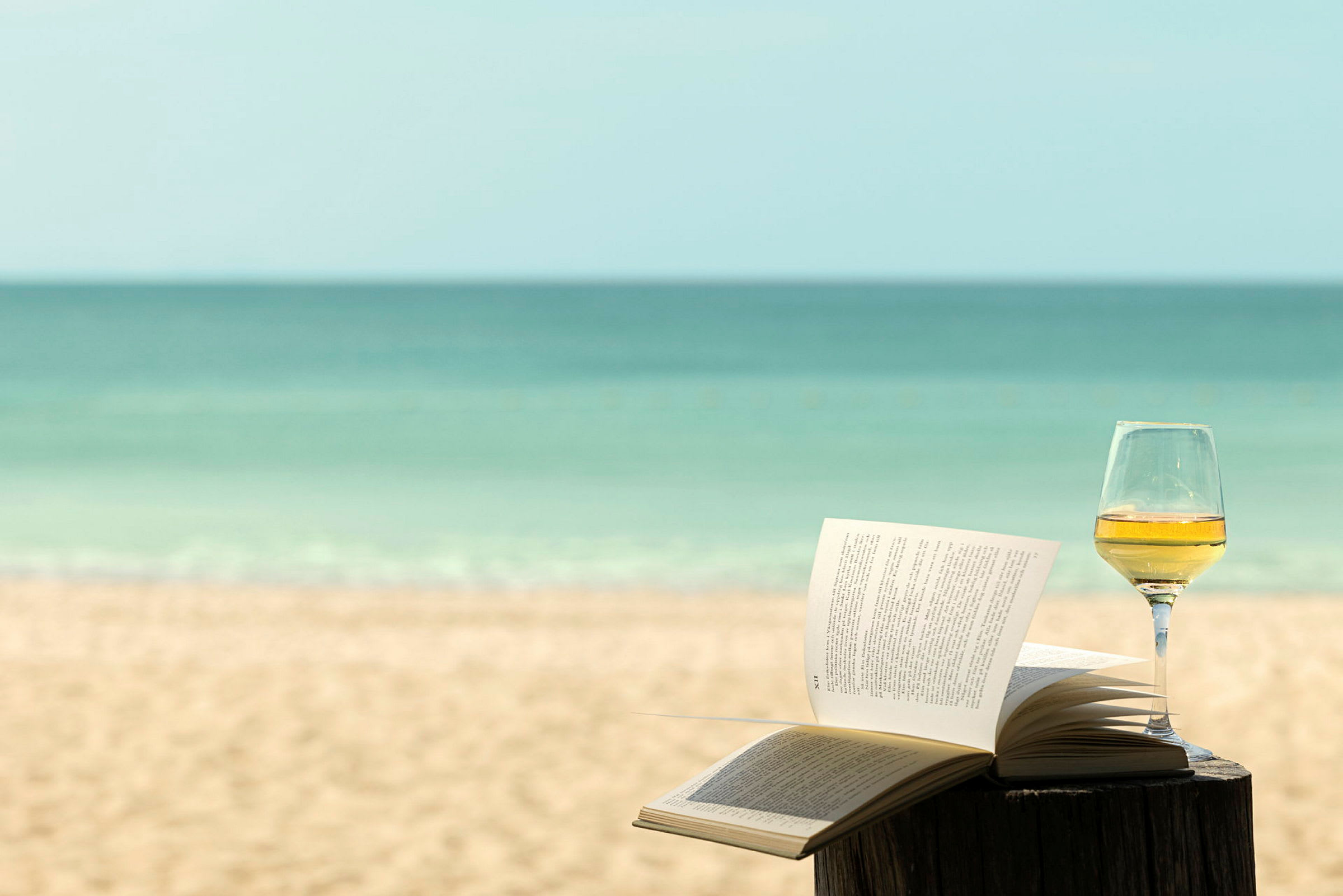 En åben bog og et glas vin står på et bord ved en strand med havet i baggrunden. (AI-genereret tekst)