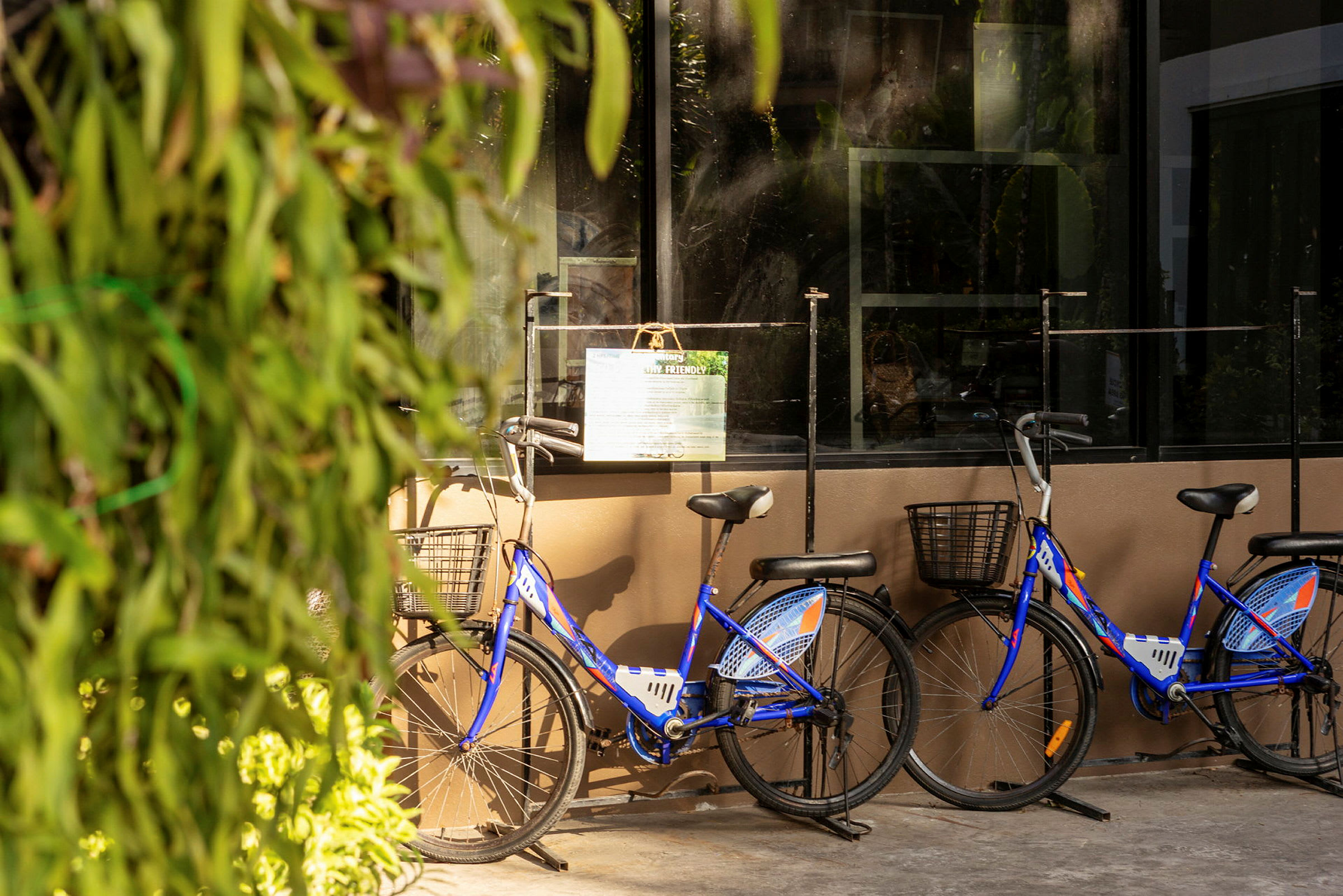 Tre blå cykler med kurve parkeret ved en bygning med glasvinduer. Planter anes i forgrunden. (AI-genereret tekst)
