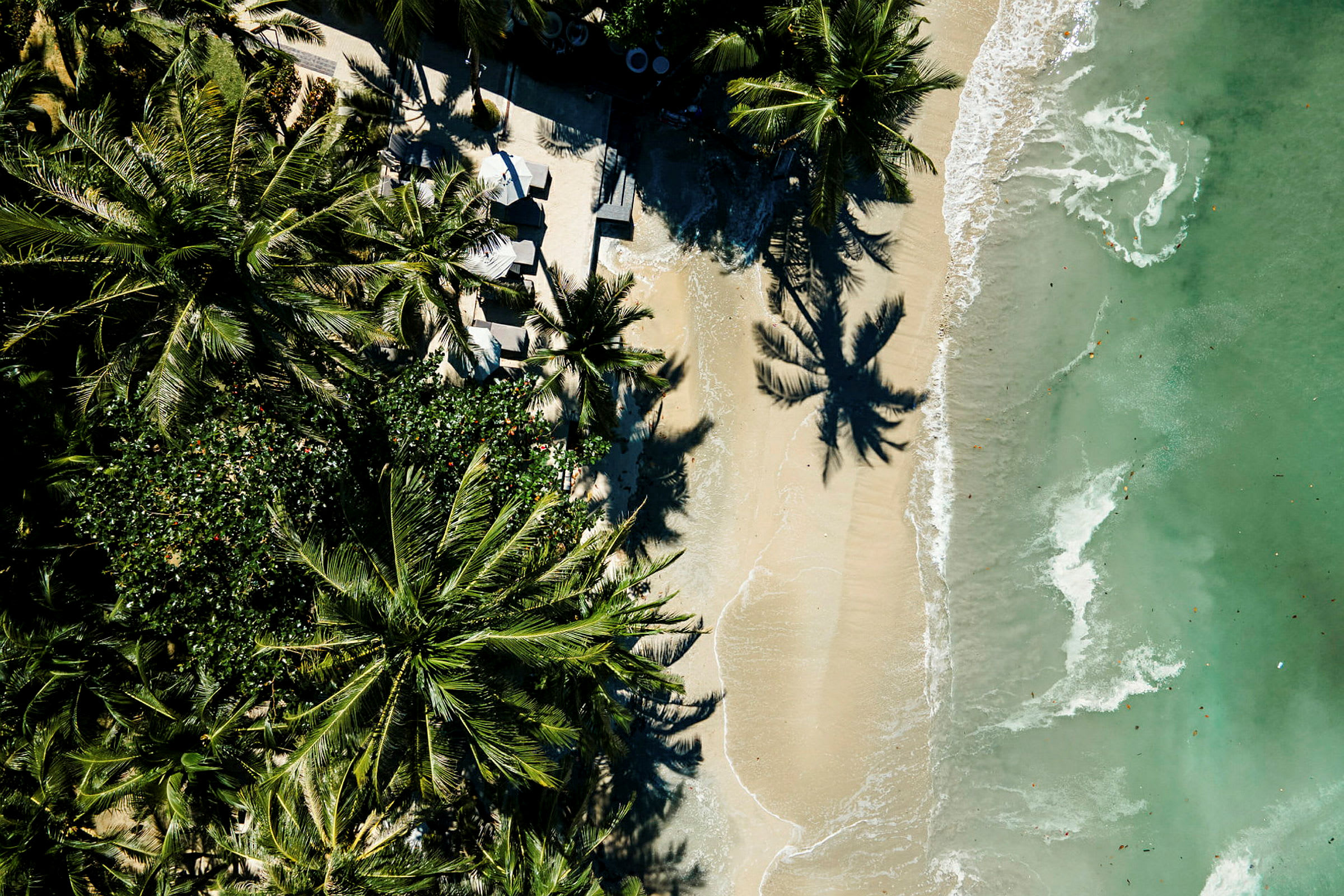 Luftfoto af en strand med sand og omgivet af tæt vegetation med palmer, med små bølger, der bryder mod stranden. (AI-genereret tekst)