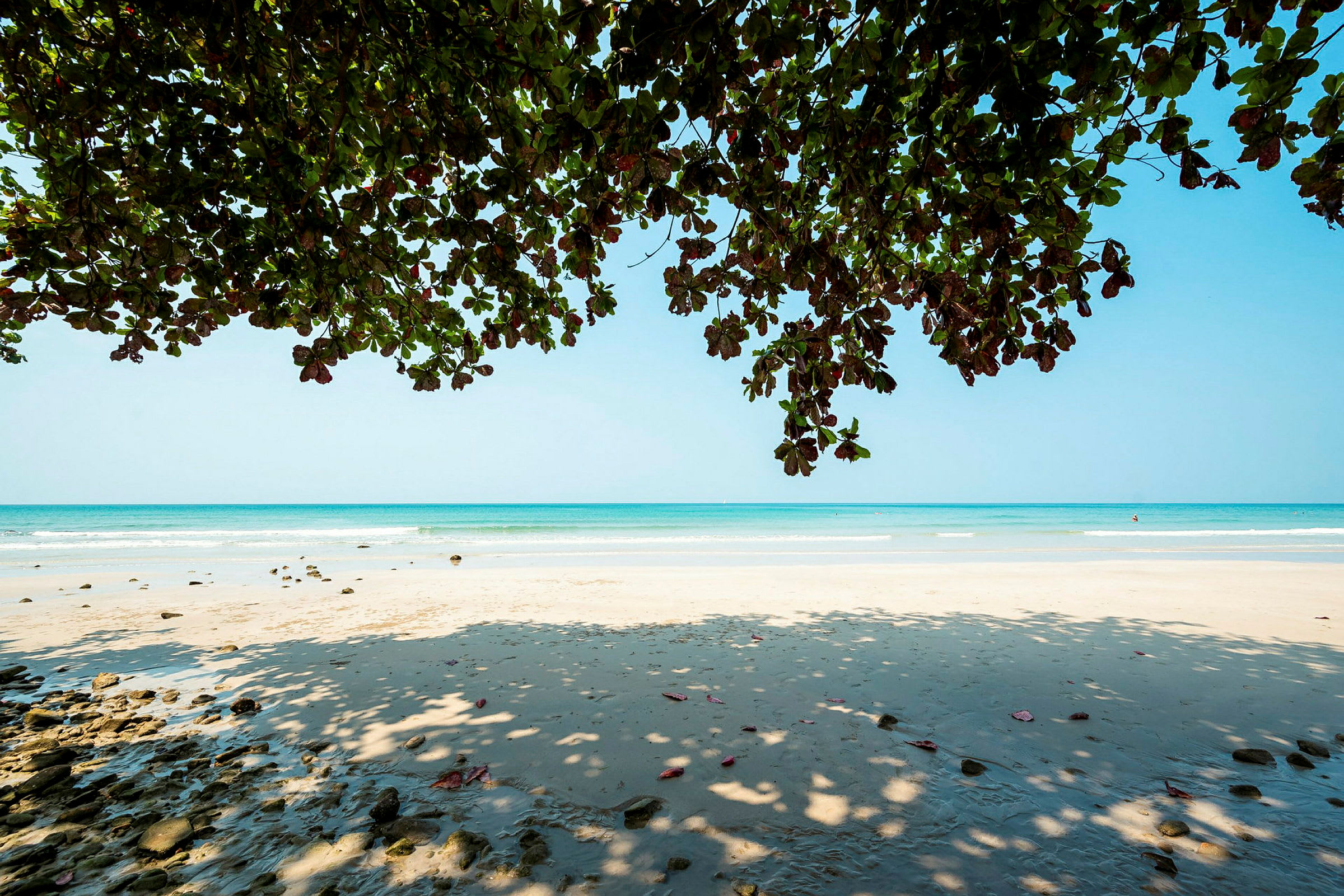 Strand med blåt hav i baggrunden og grene med grønne blade dækker delvist himlen. (AI-genereret tekst)