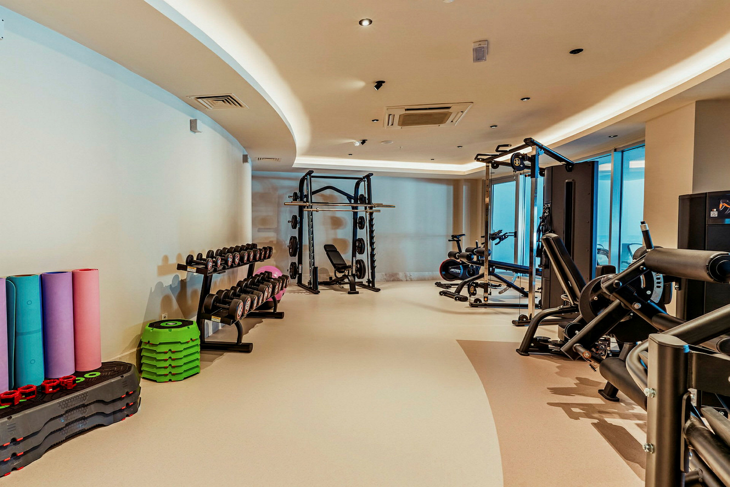 Et fitnesscenter med forskellige træningsmaskiner, håndvægte og træningsmåtter. (AI-genereret tekst)