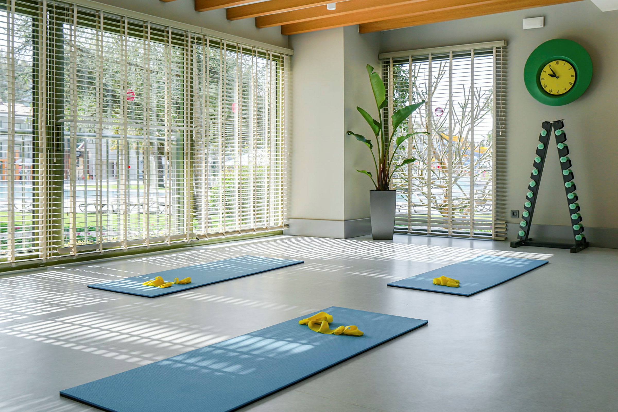 Et rum med yogamåtter, vinduer med persienner, en plante og et stativ med vægte. (AI-genereret tekst)