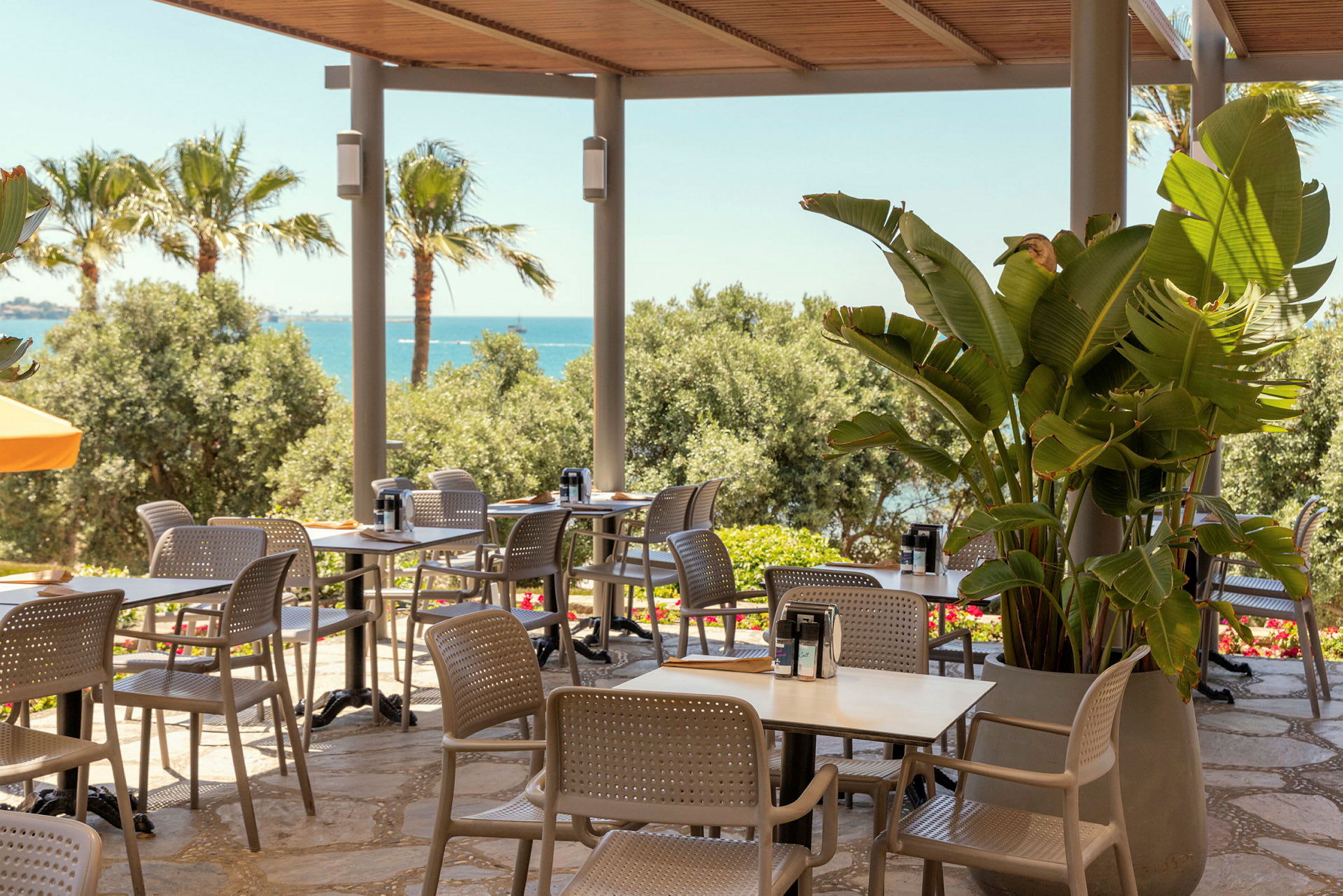 En udendørsterrasse på en café eller restaurant med borde og stole under et tag, omgivet af grønne planter og udsigt over havet. (AI-genereret tekst)