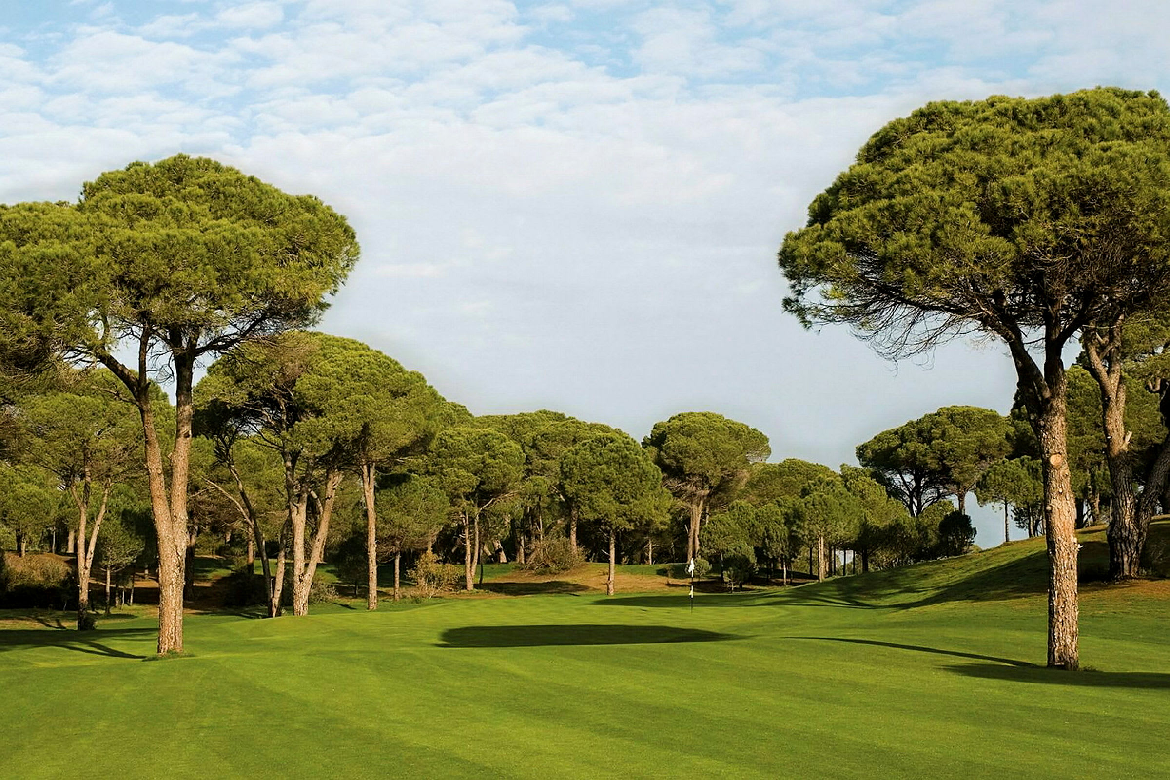 En grøn golfbane omgivet af høje fyrretræer. (AI-genereret tekst)