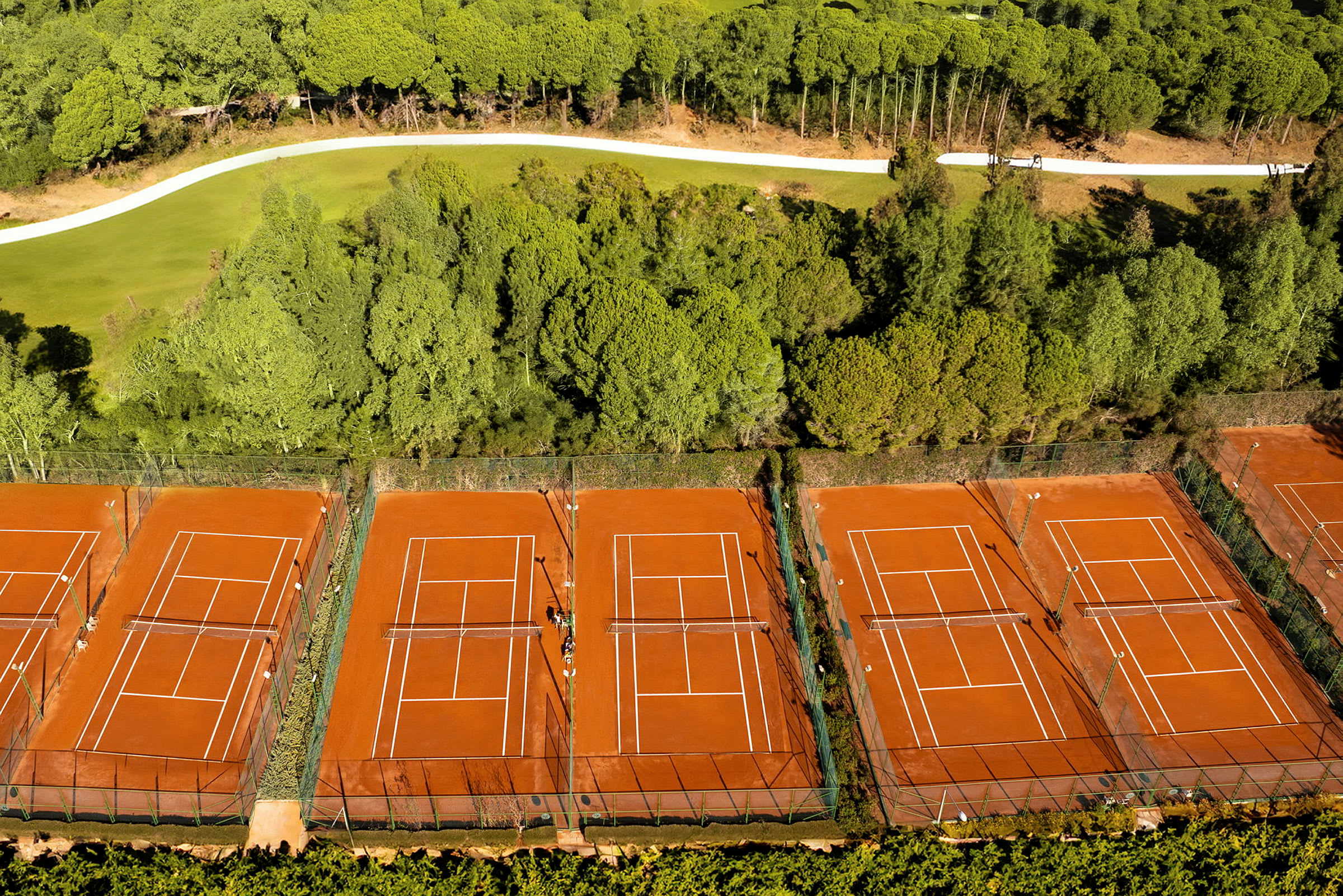 Billede af flere tennisbaner omgivet af træer. (AI-genereret tekst)