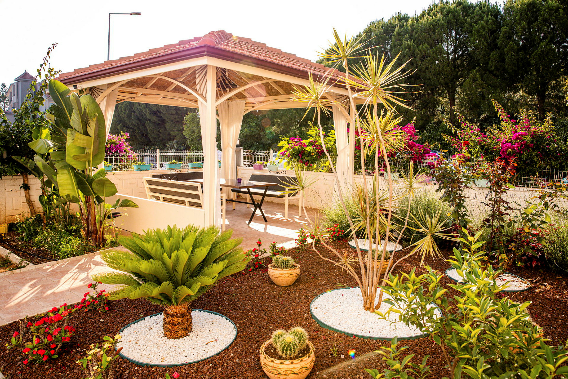 En have med en pergola omgivet af eksotiske planter og blomster. Under pergolaen er der møbler til afslapning. (AI-genereret tekst)