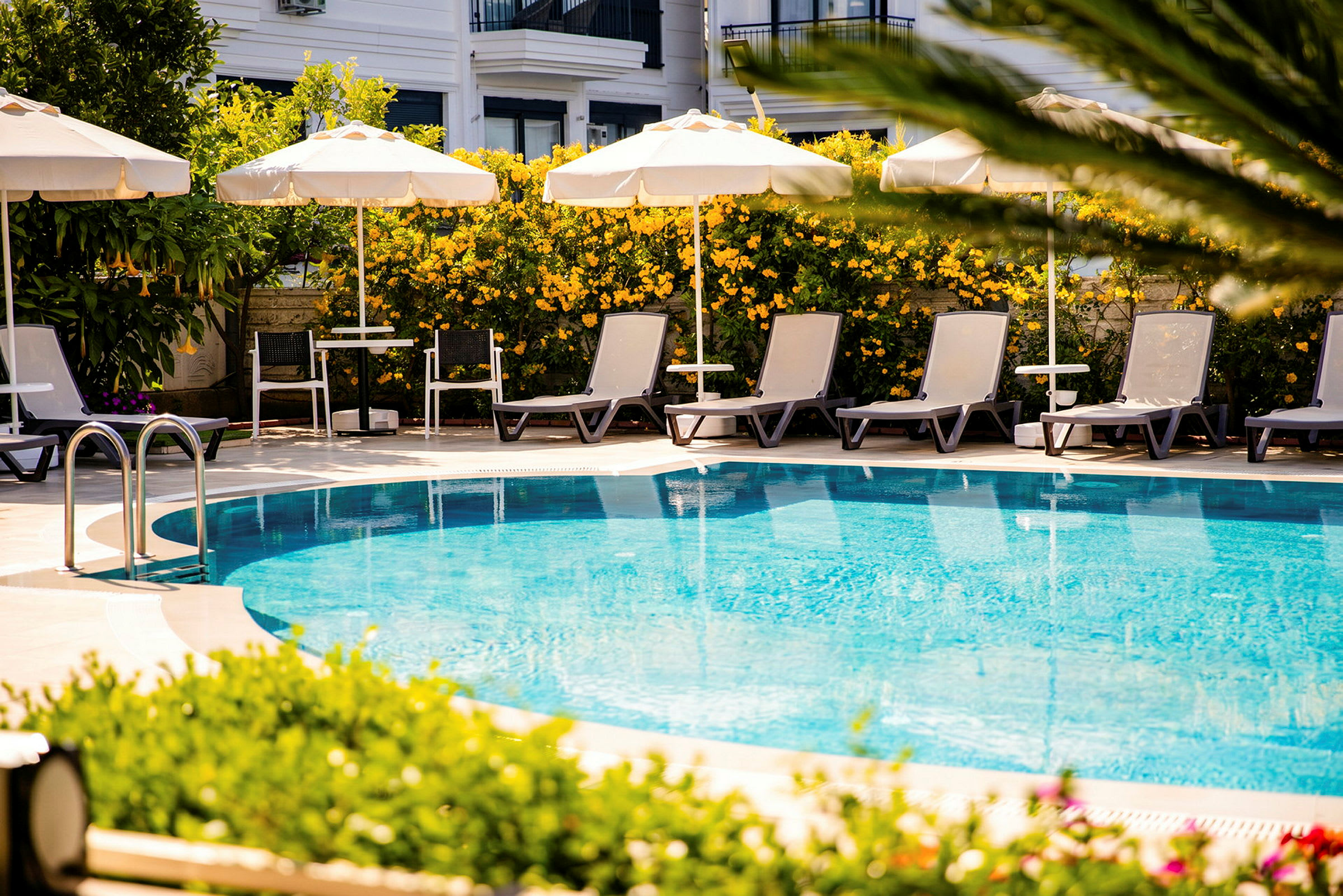 En pool omgivet af liggestole og parasoller. I baggrunden er der blomster og grønt. (AI-genereret tekst)