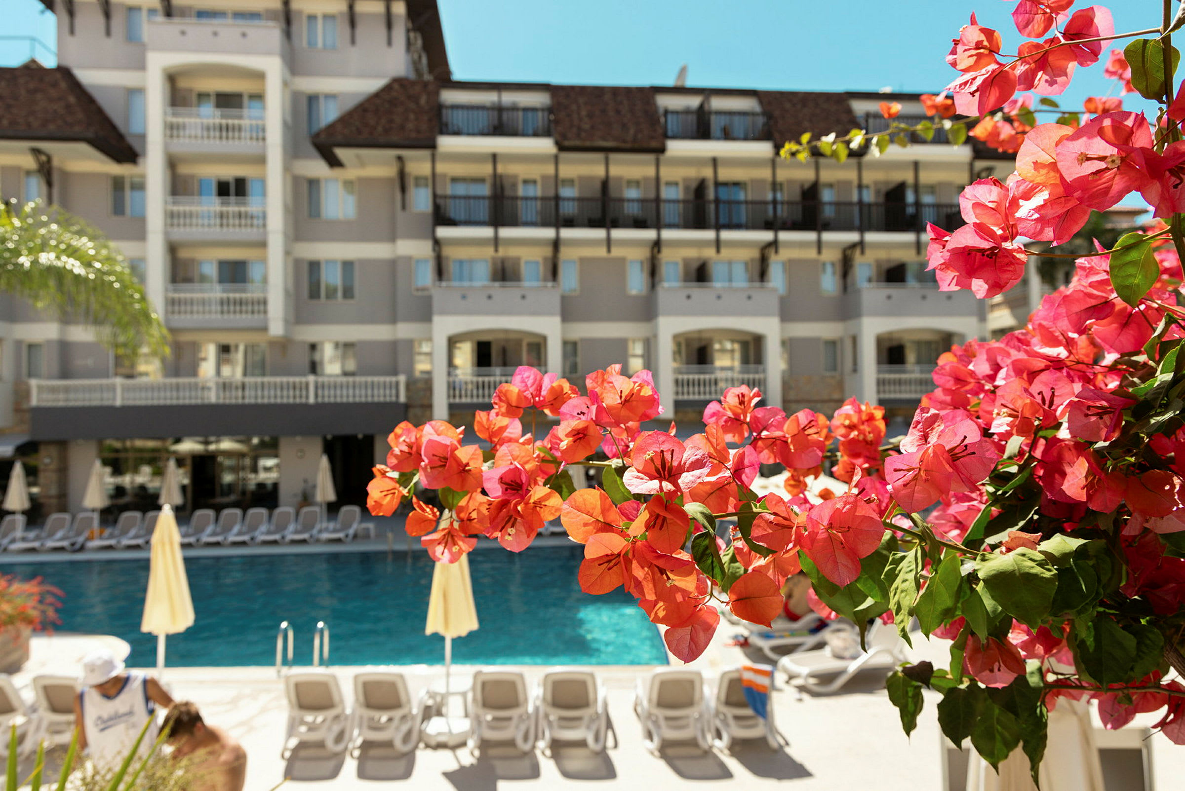 Billede af en hotelbygning ved en pool med nærbillede af røde blomster i forgrunden. (AI-genereret tekst)