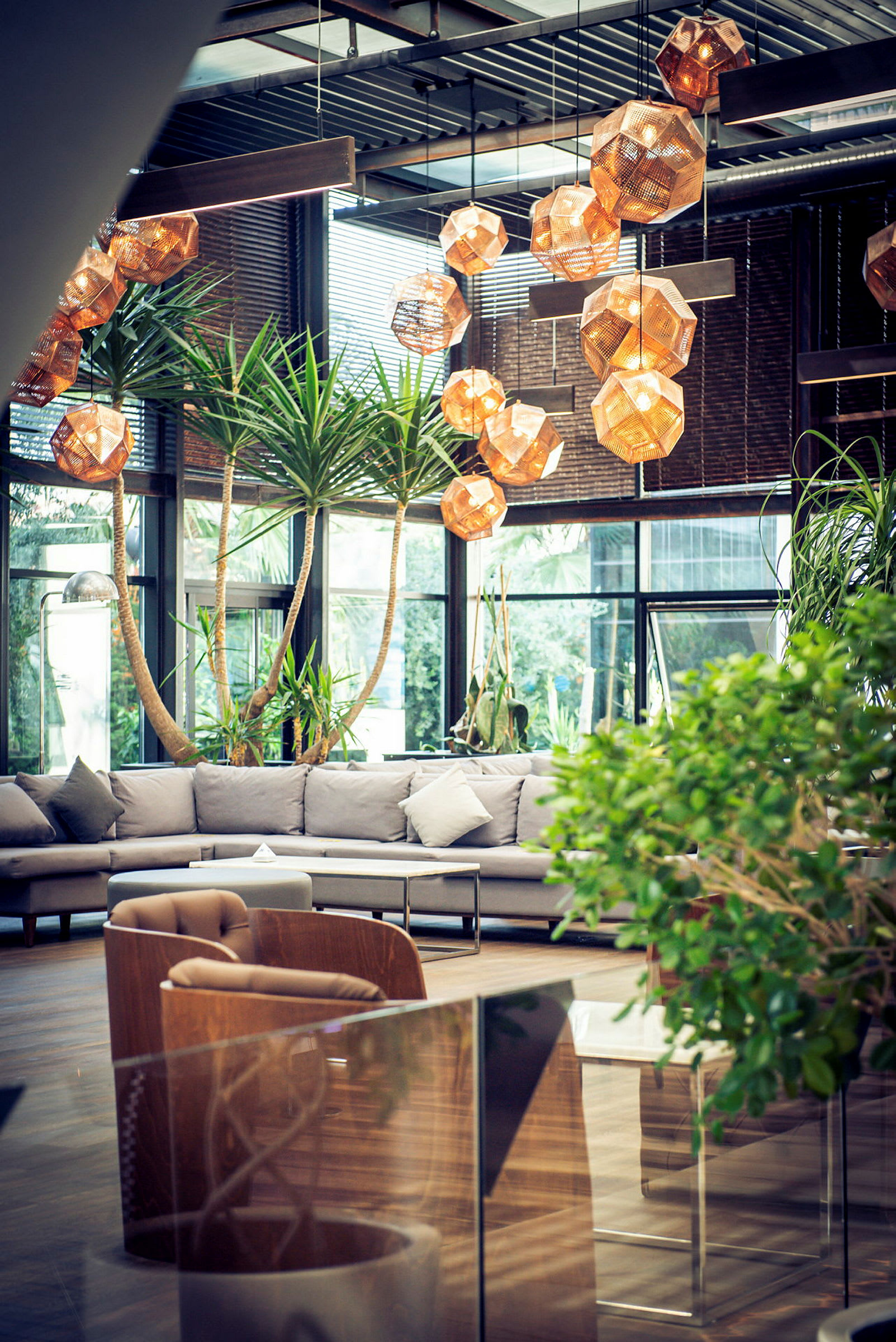 En moderne, luftig lounge med grønne planter, beige sofaer og dekorative hængende lamper. (AI-genereret tekst)