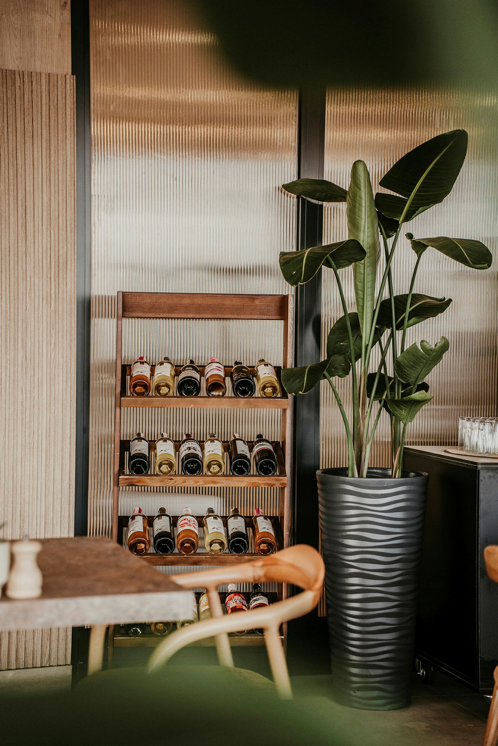 Hylde med vinflasker ved siden af en stor sort potte med grøn plante. (AI-genereret tekst)