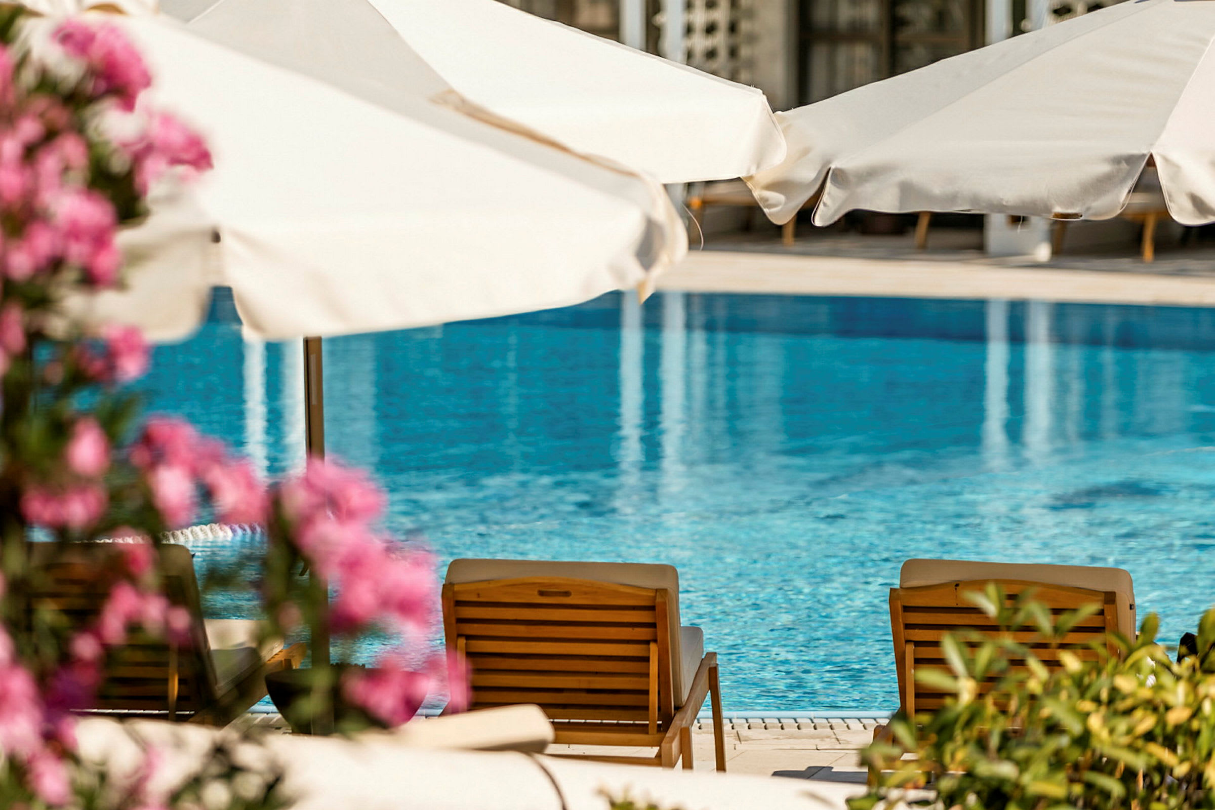 En swimmingpool med liggestole og parasoller. Rosa blomster kan ses i forgrunden. (AI-genereret tekst)