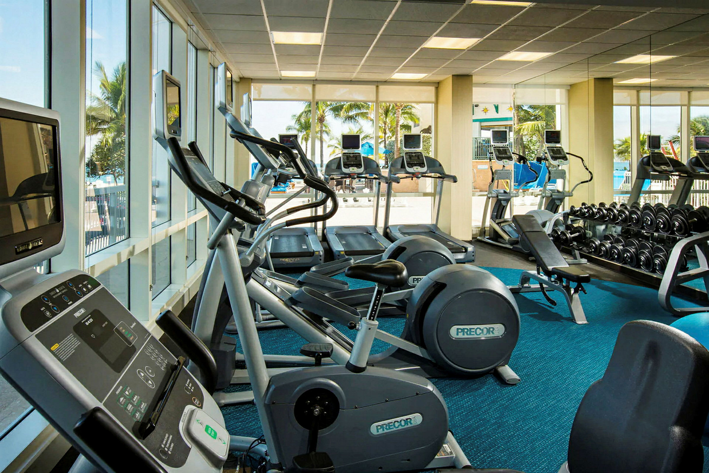 Et fitnesscenter med træningsmaskiner og frie vægte, med store vinduer der giver udsyn udendørs. (AI-genereret tekst)