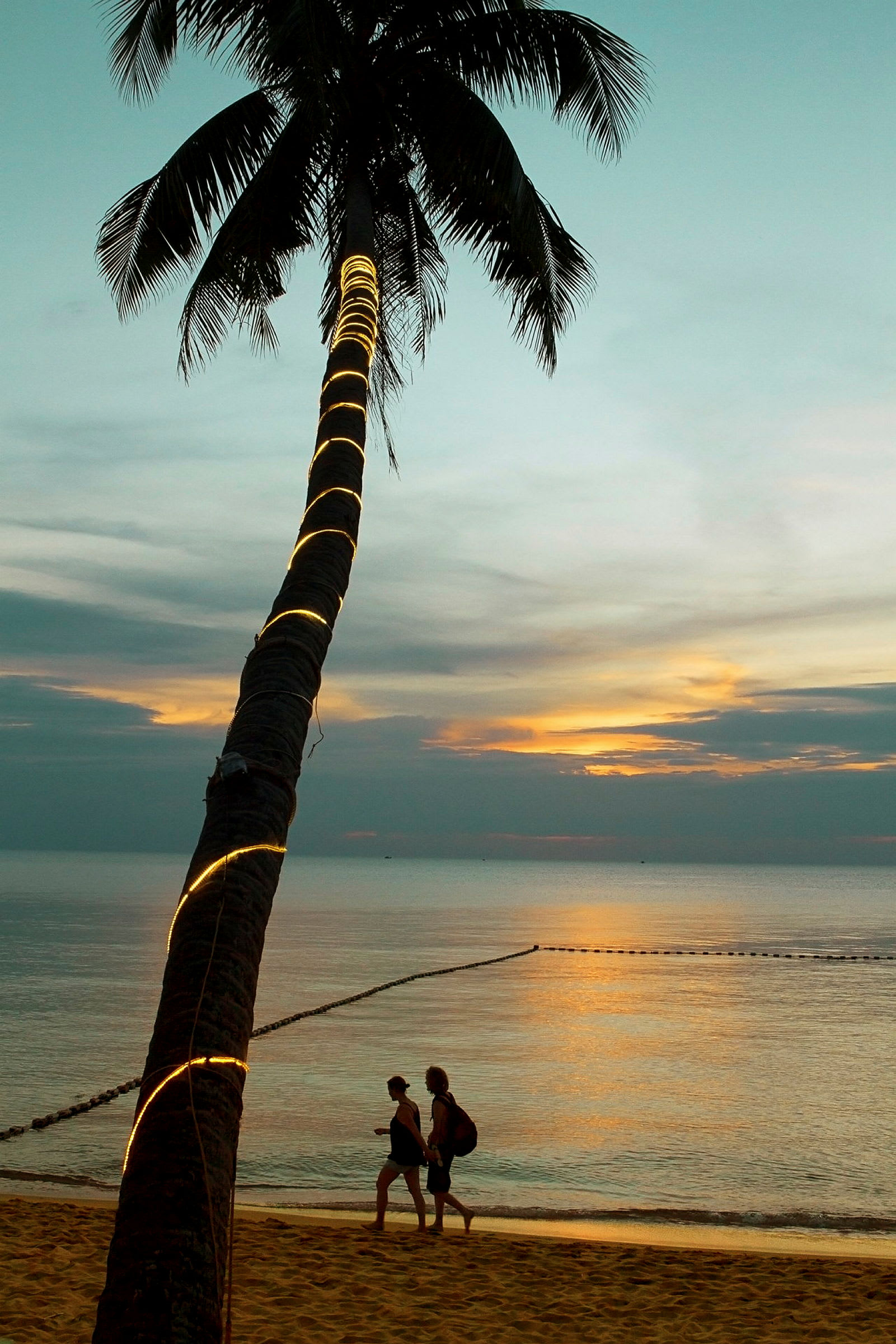 En palme med lysguirlander ved en strand i solnedgang, to personer går langs stranden. (AI-genereret tekst)
