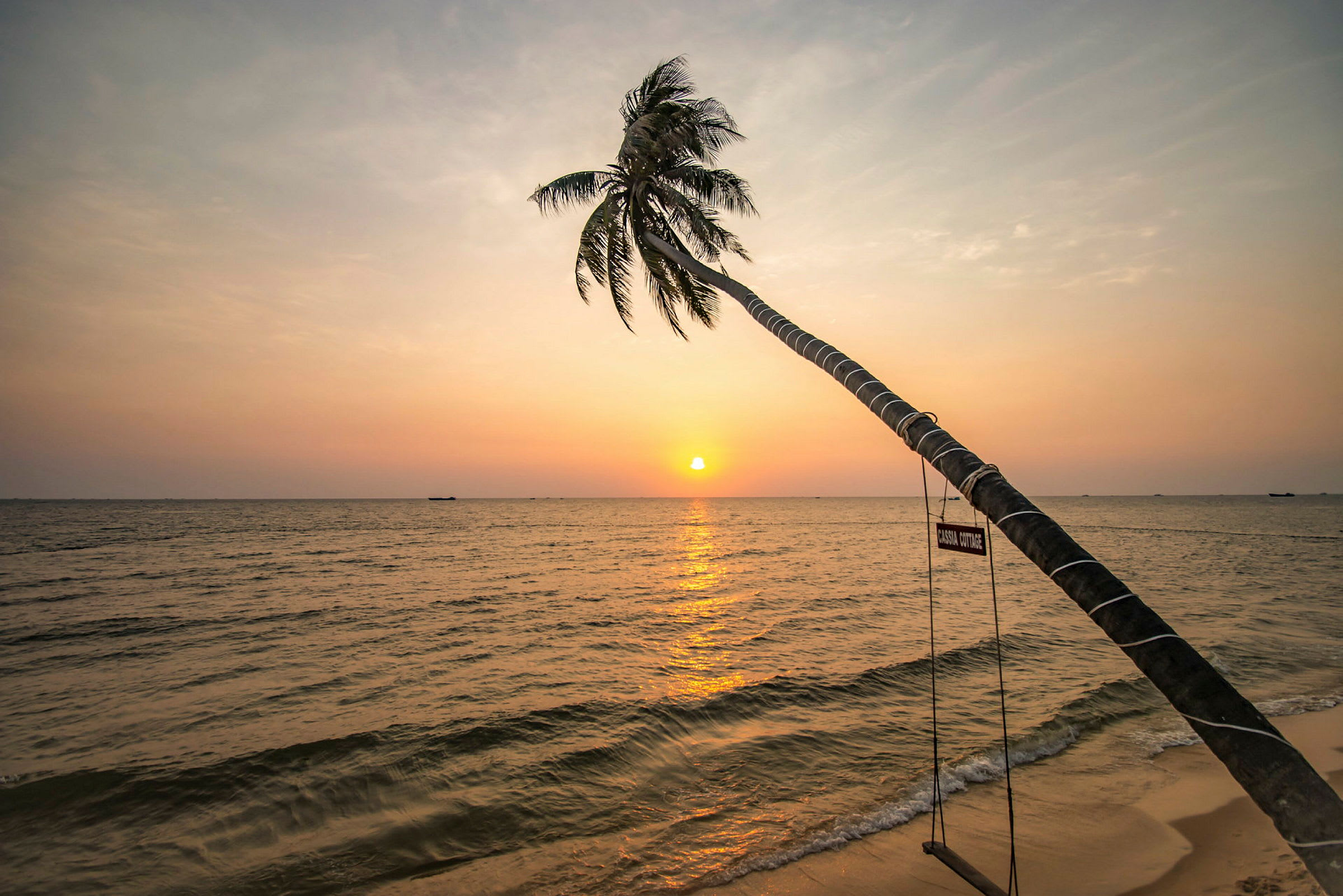 En palme hælder ud over havet ved solnedgang, med en gynge hængende fra stammen. (AI-genereret tekst)