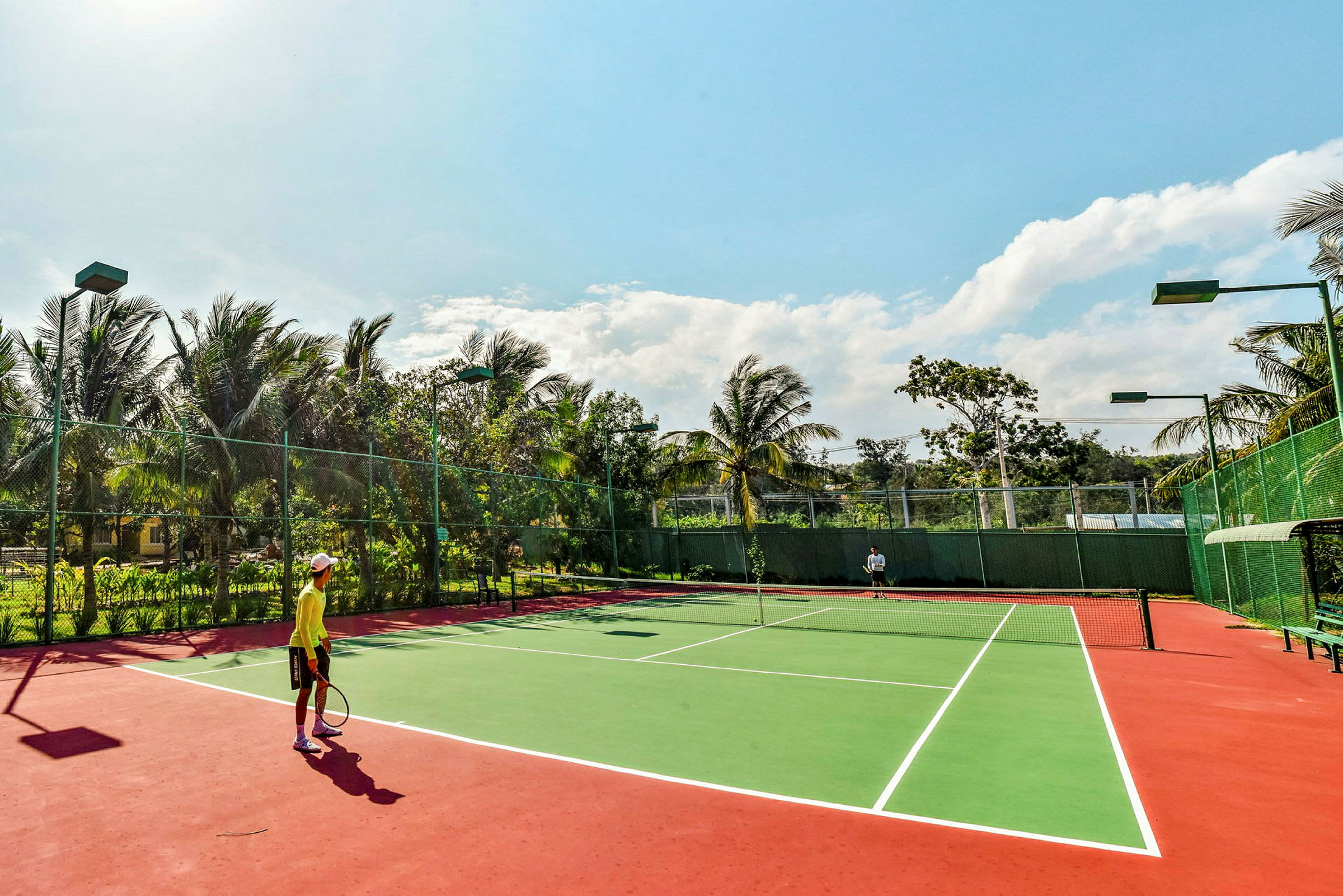 To personer spiller tennis på en udendørs bane omgivet af planter og palmer under en klar himmel. (AI-genereret tekst)