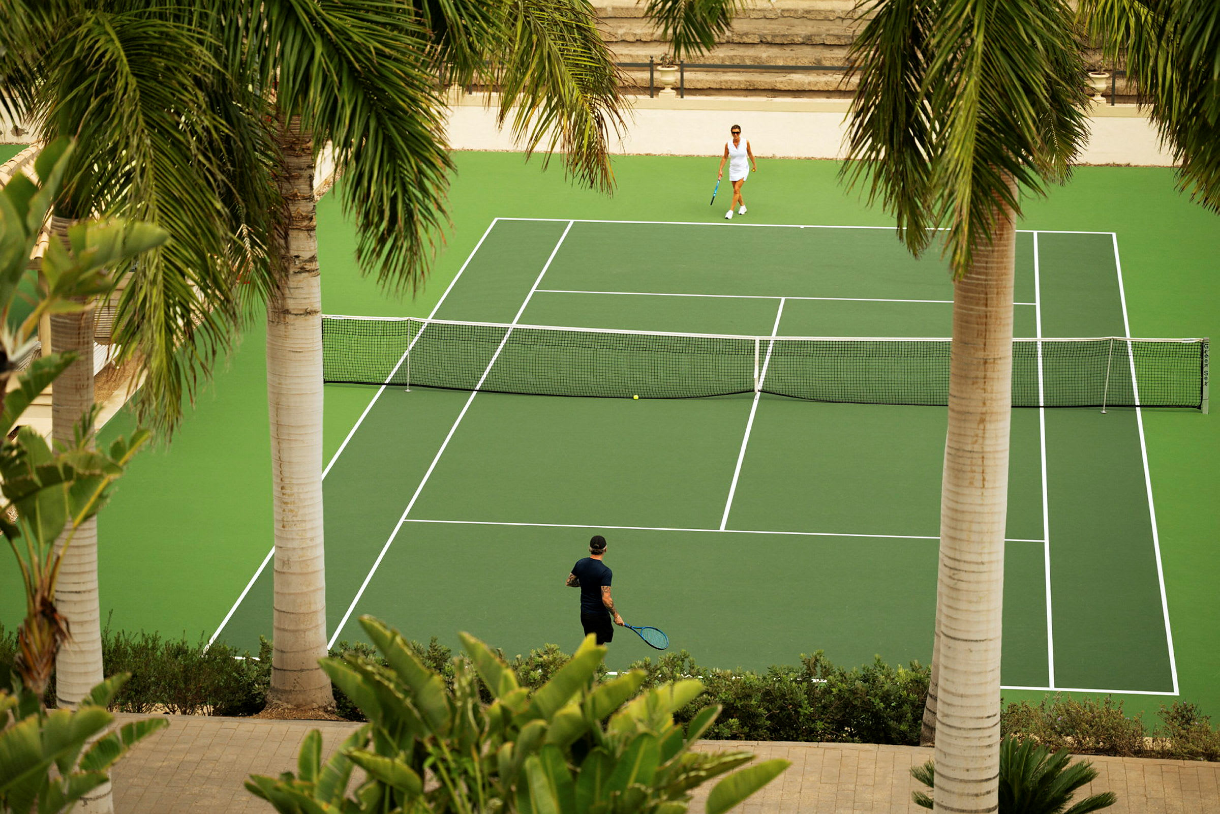 To personer spiller tennis på en grøn tennisbane omgivet af palmer. (AI-genereret tekst)