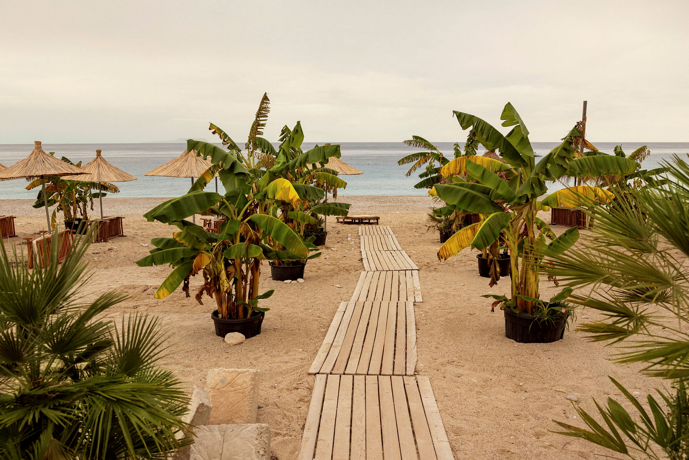 Strand med parasoller, banantræer og en gangsti af træ, der fører mod havet. (AI-genereret tekst)