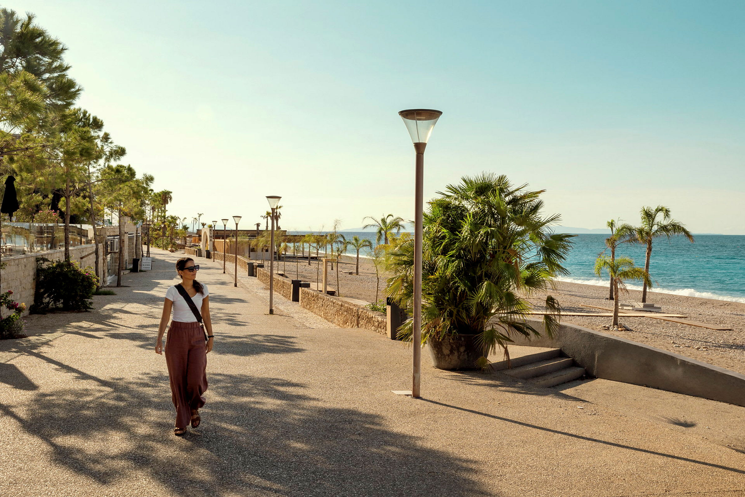 Strandpromenade med palmer og gadelamper. (AI-genereret tekst)