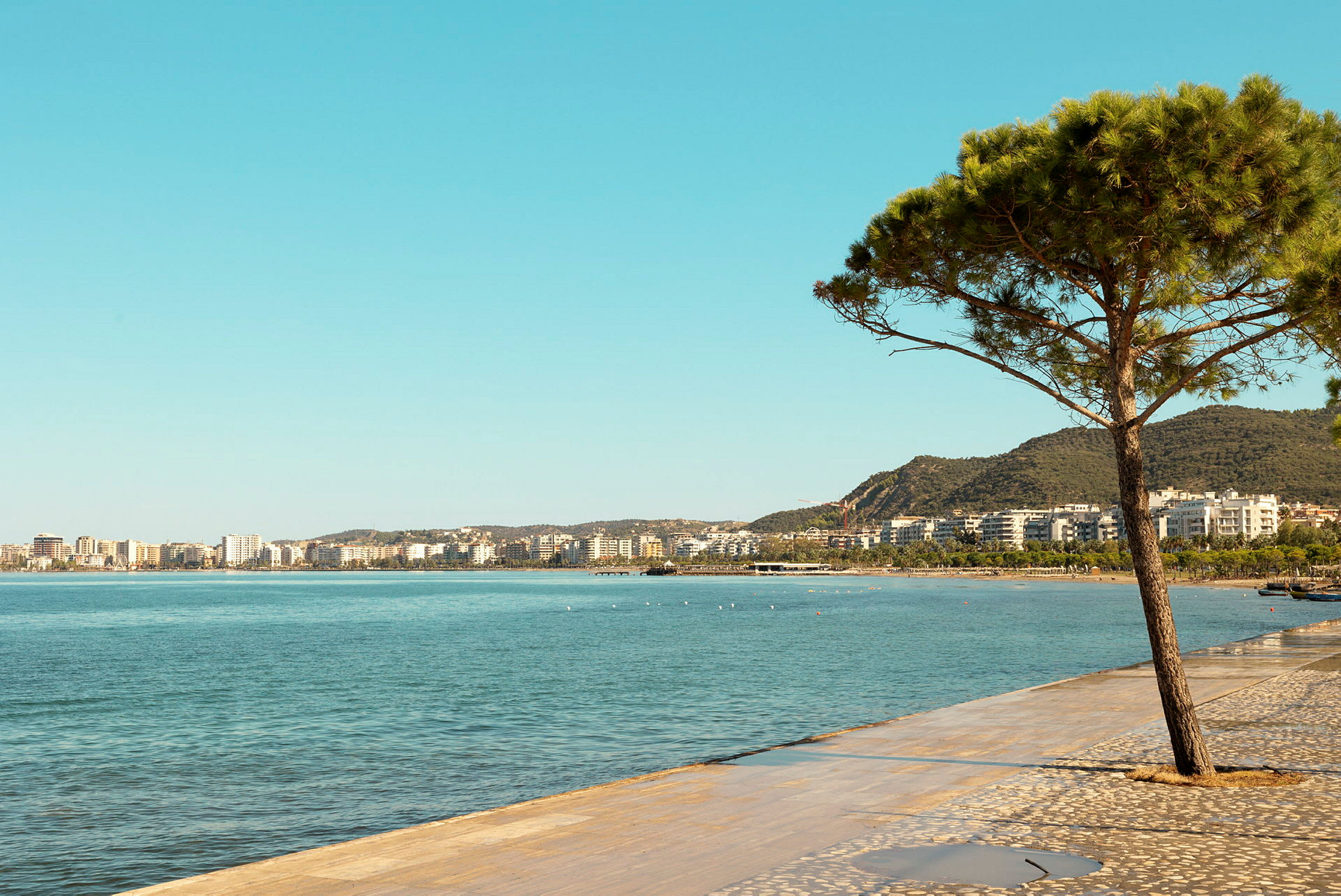 En strandpromenade med et træ ved vandet og en by i baggrunden. (AI-genereret tekst)