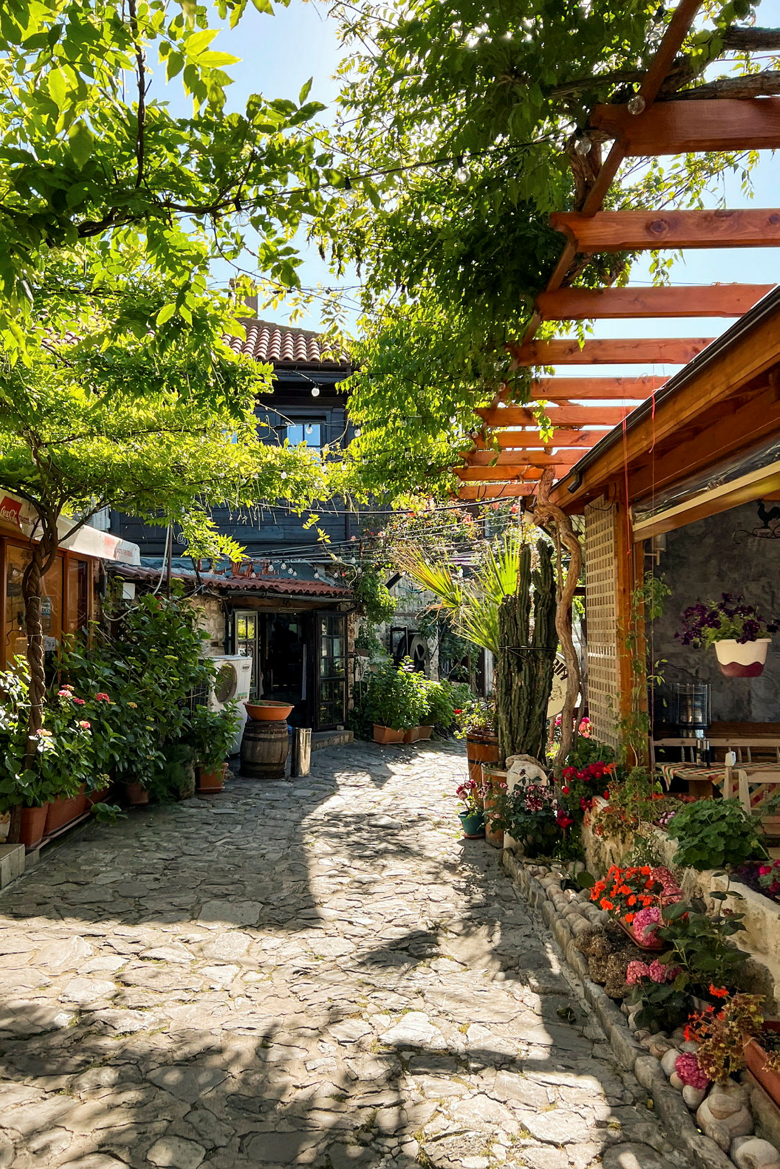 En stensat sti omgivet af grønne planter og bygninger af træ og sten. Blomster og potteplanter pynter området. (AI-genereret tekst)