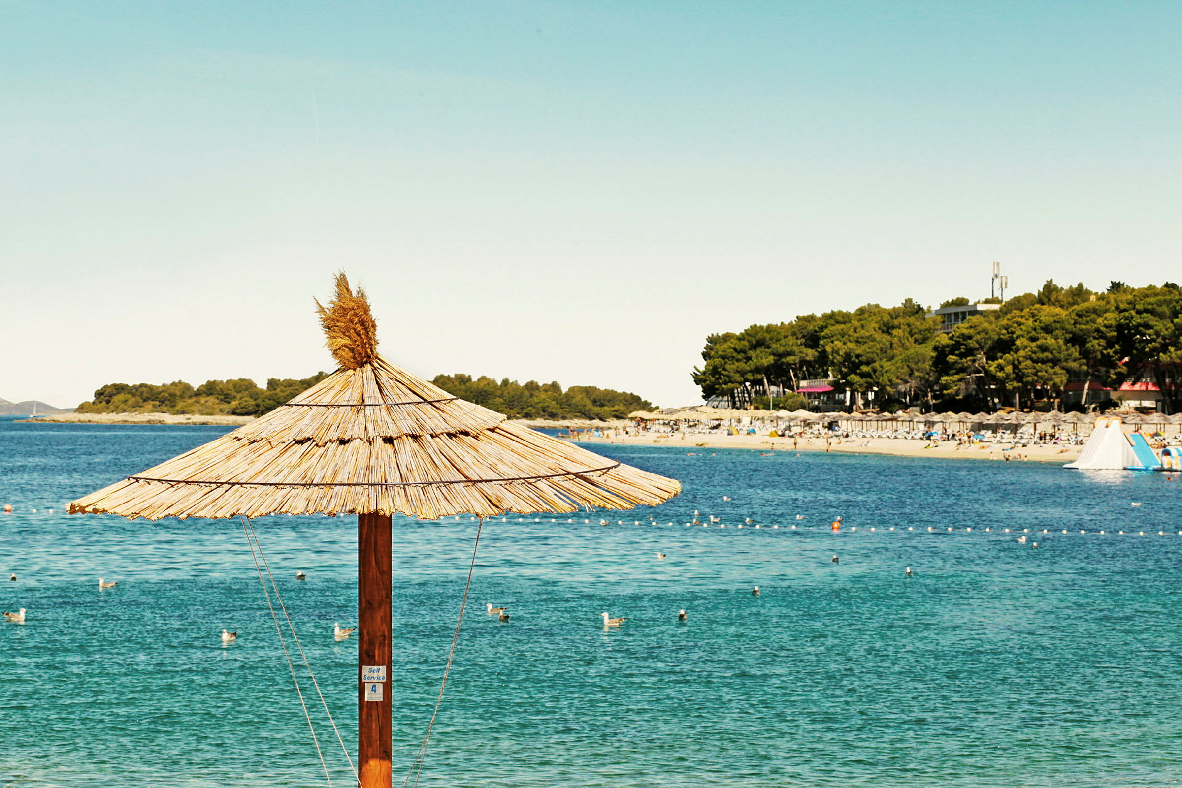 Et stråtag over en parasol ved en strand med klart blåt vand. I baggrunden ses en skov og en strand med mennesker. (AI-genereret tekst)