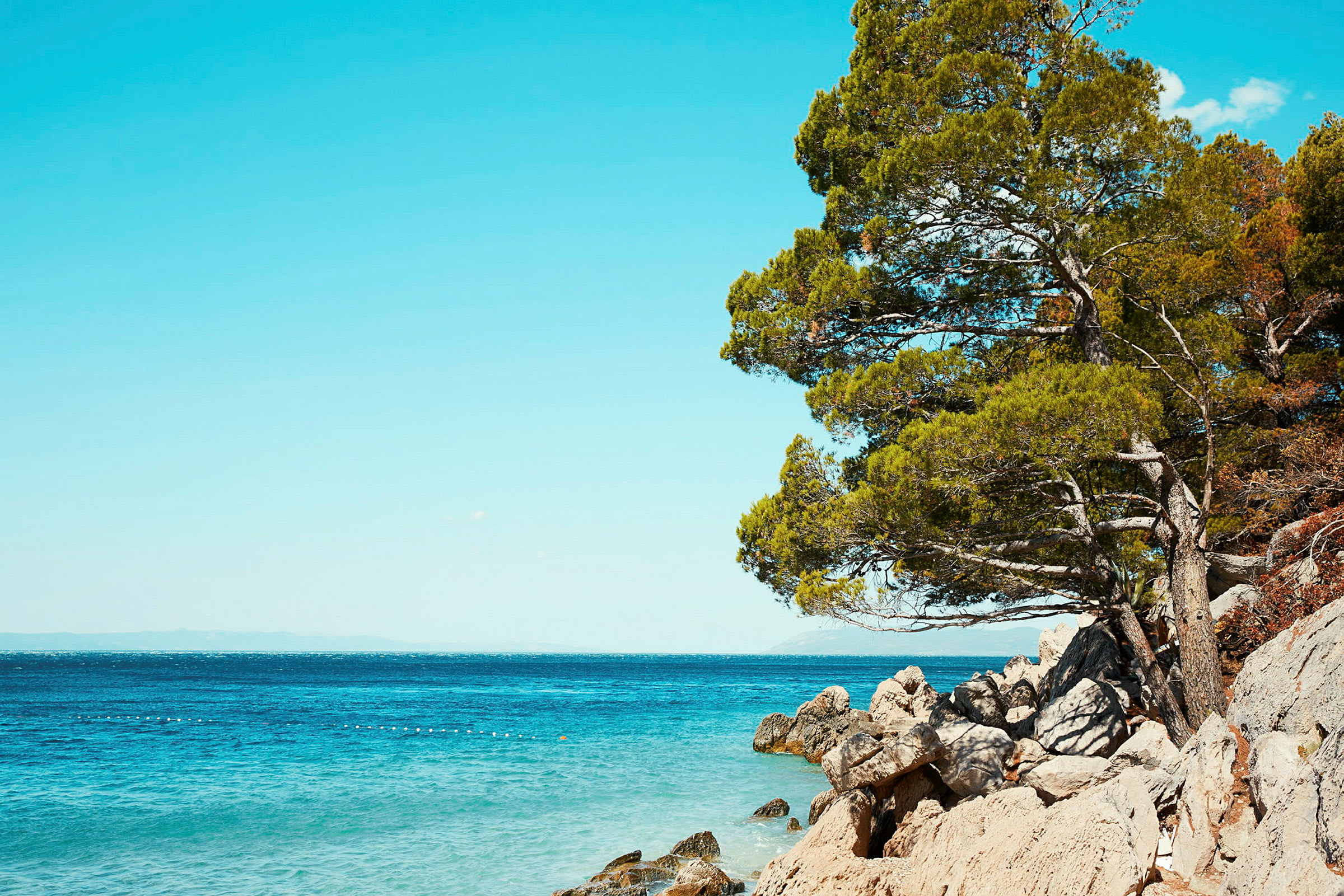 Udsigt over havet med klipper og træer ved kystlinjen. (AI-genereret tekst)
