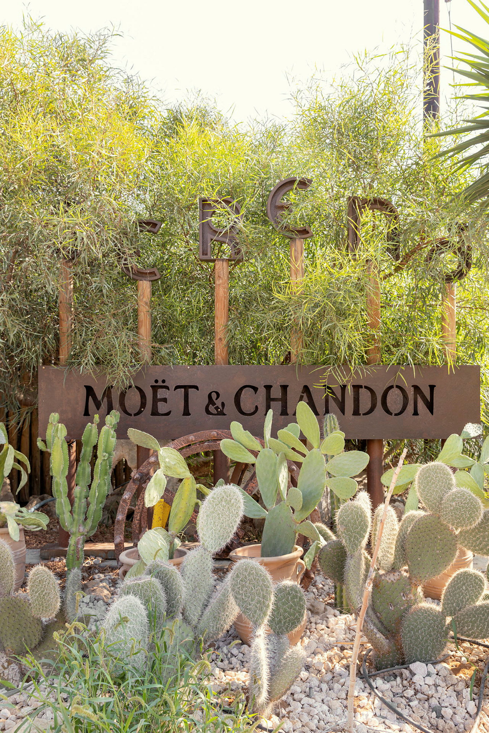 Kaktusplanter i forgrunden foran et skilt med teksten 'Moët & Chandon'. (AI-genereret tekst)
