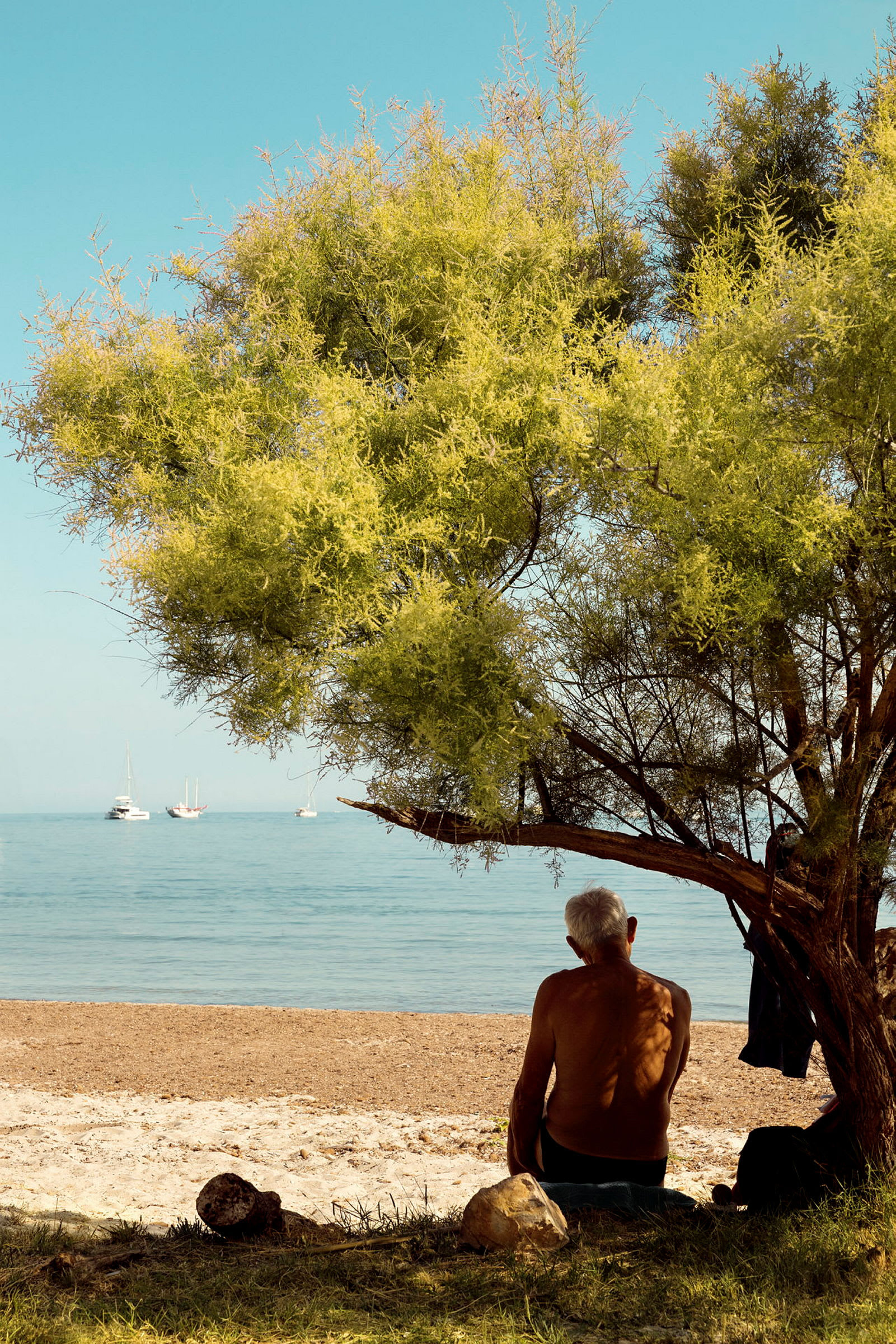 En person sidder under et træ ved en strand med havet og flere sejlbåde i baggrunden. (AI-genereret tekst)