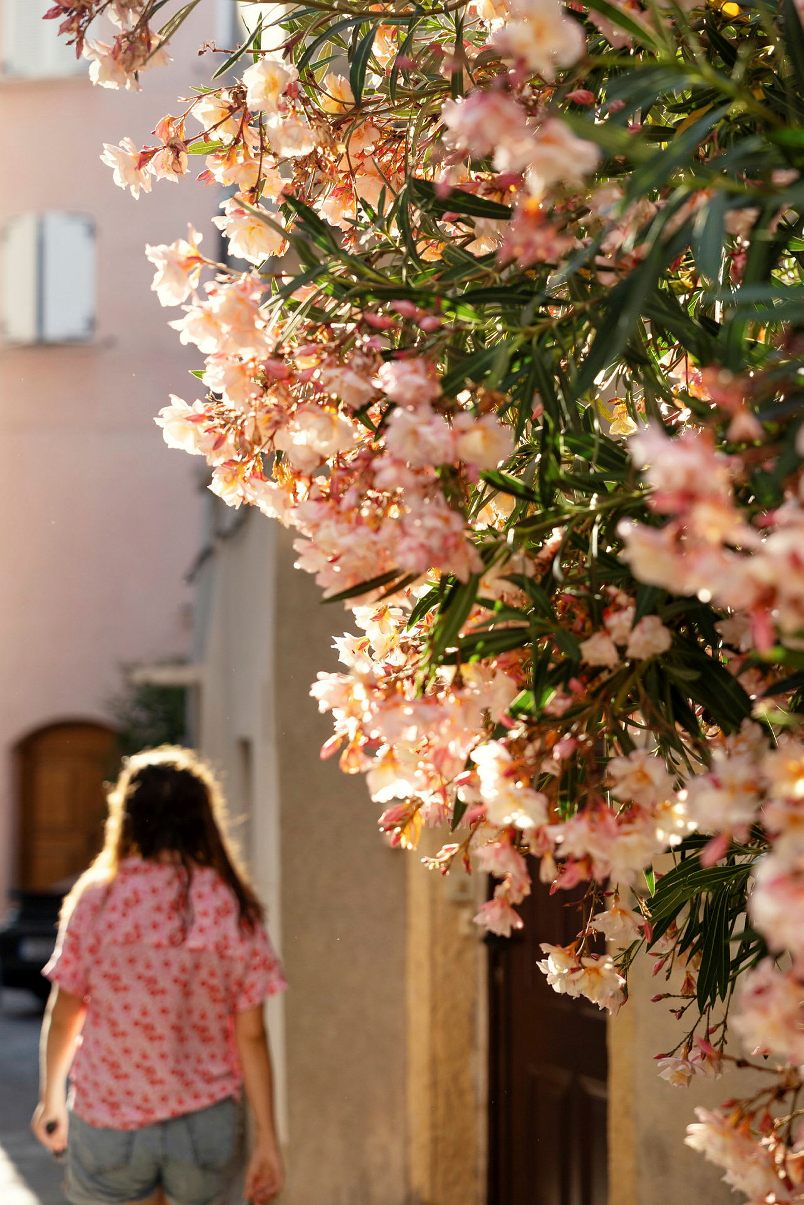 En person går på en gade, med lyserøde og hvide blomster synlige i forgrunden. (AI-genereret tekst)