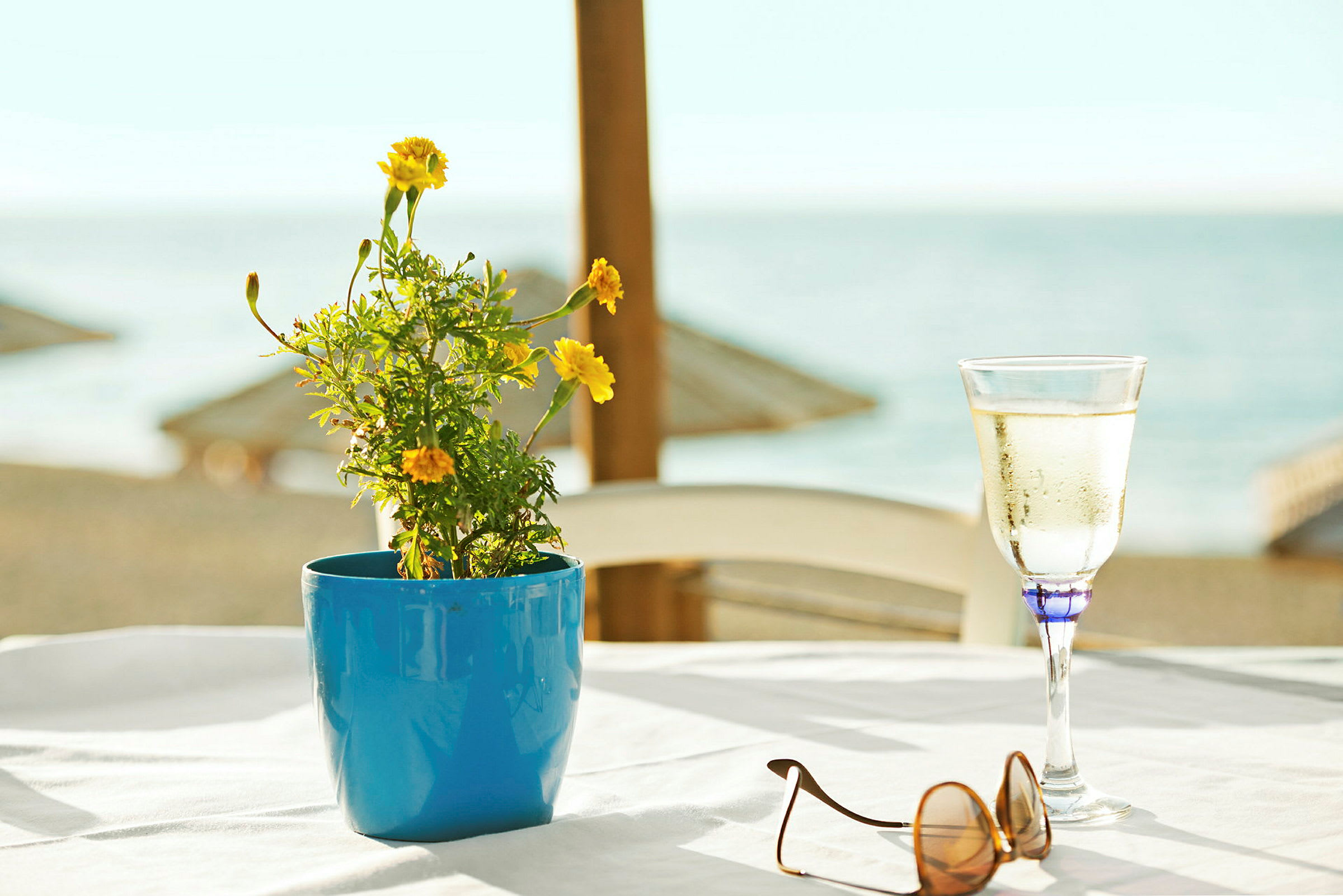 Blomsterkrukke, vinglas og solbriller på et bord ved havet. (AI-genereret tekst)