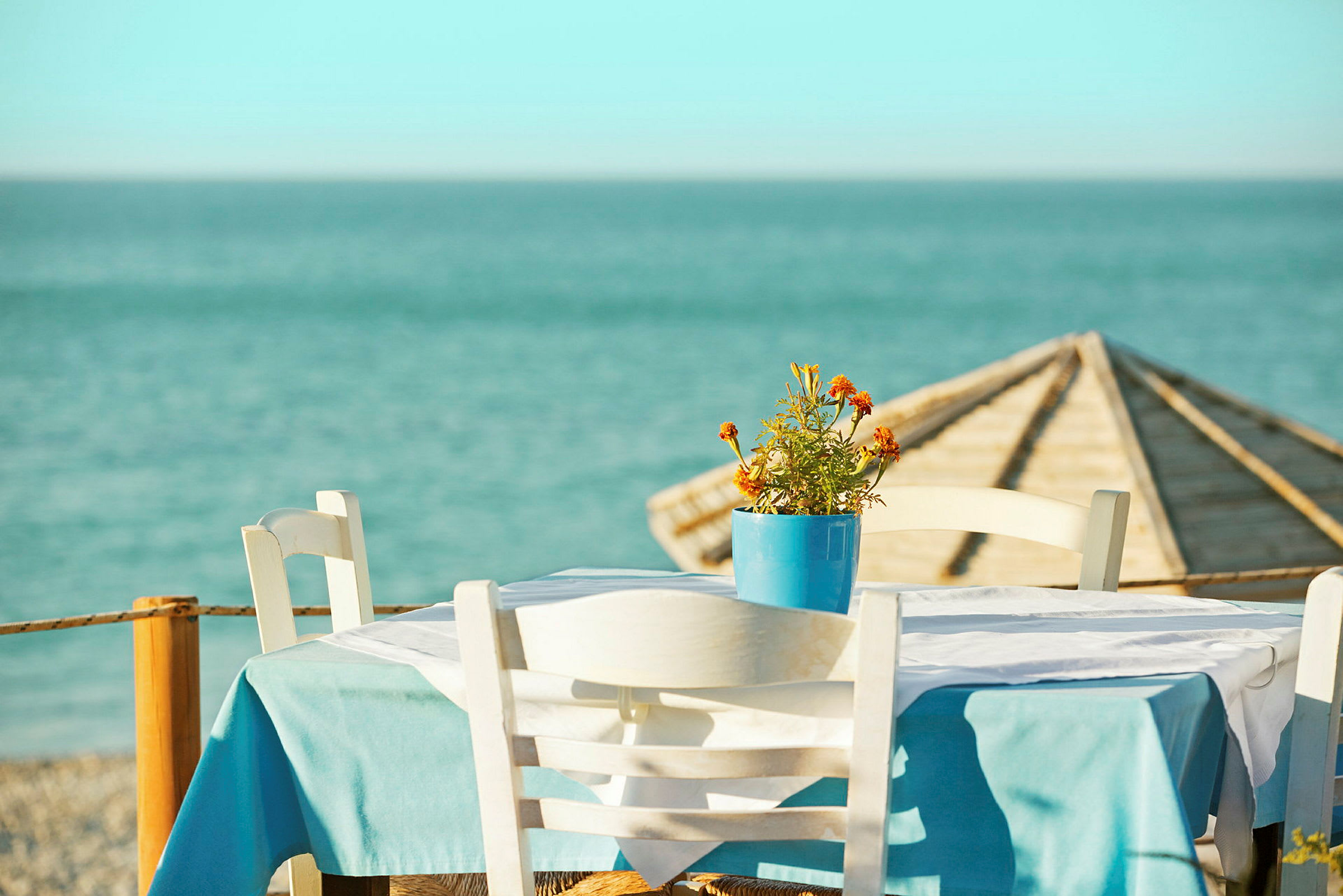 Et udendørs bord med en blomsterpotte med orange blomster, med havet og en parasol i baggrunden. (AI-genereret tekst)