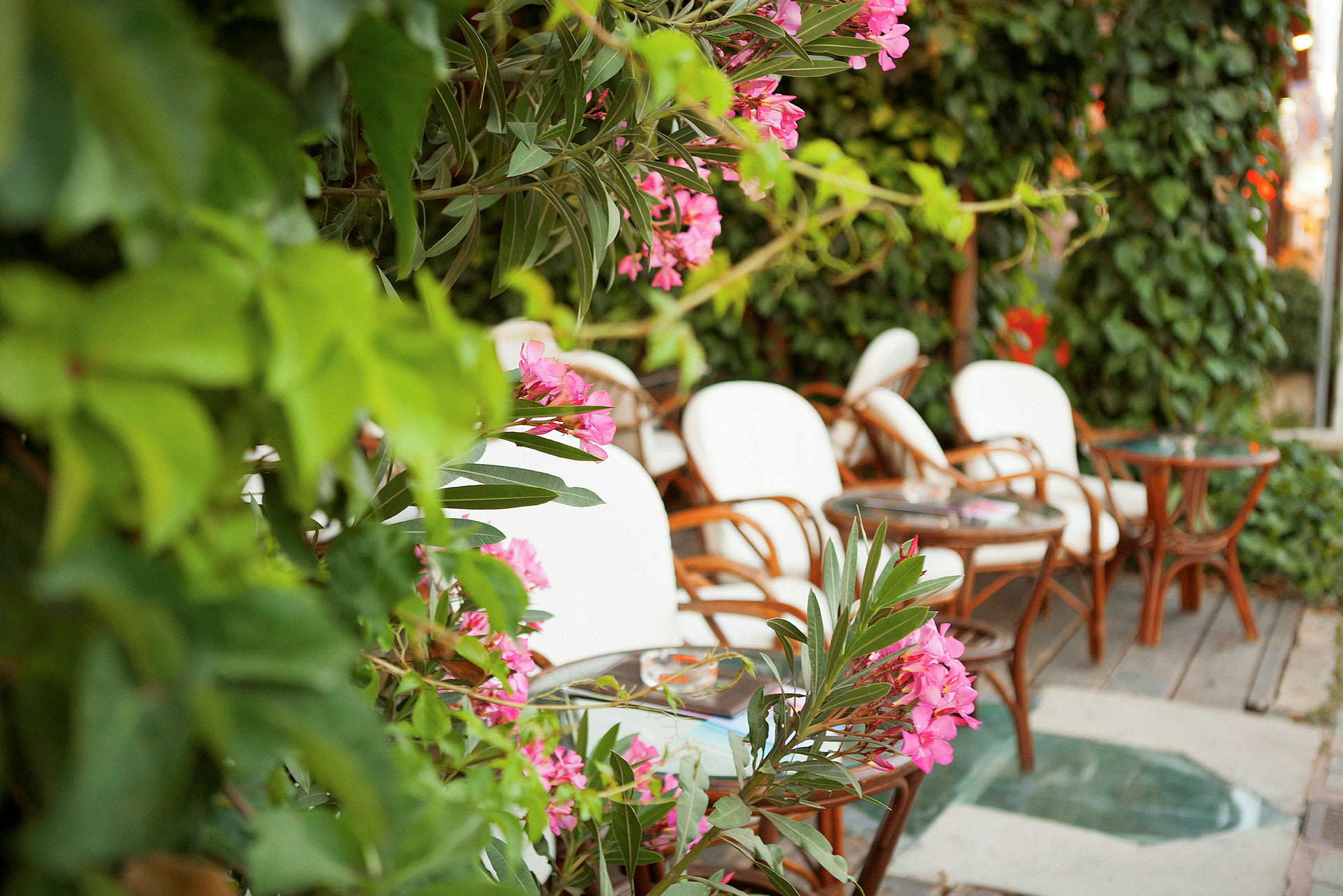En terrasse med hvide stole og blomster. (AI-genereret tekst)