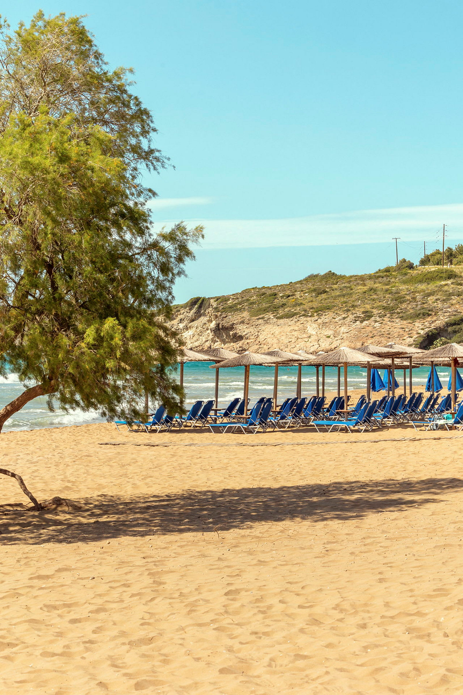 Strand med sand, parasoller og liggestole samt et træ i forgrunden. (AI-genereret tekst)